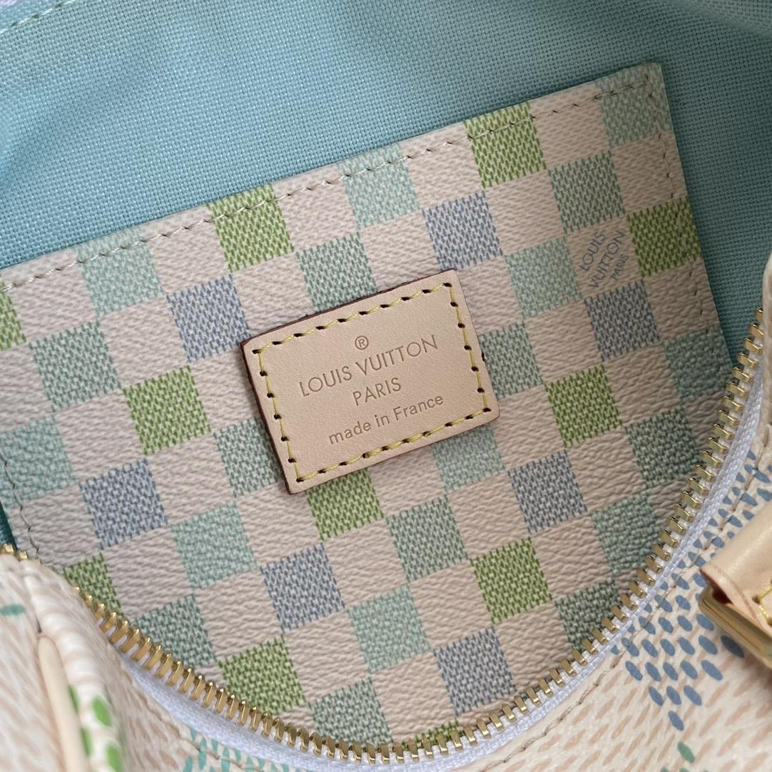 Louis Vuitton Speedy Bandoulière 20   N40515 - 