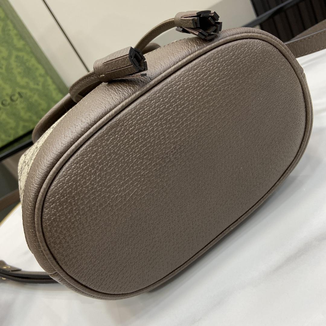 Gucci Ophidia Mini Backpack - 