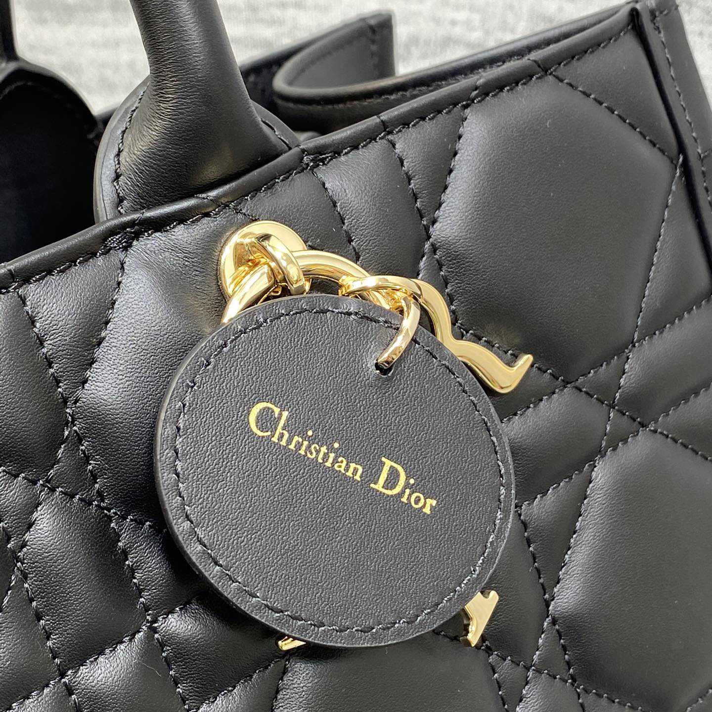 Dior Medium Dior Book Tote - 