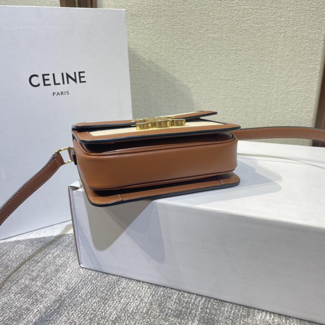 Celine Teen Triomphe Bag In Textile And Calfskin - 