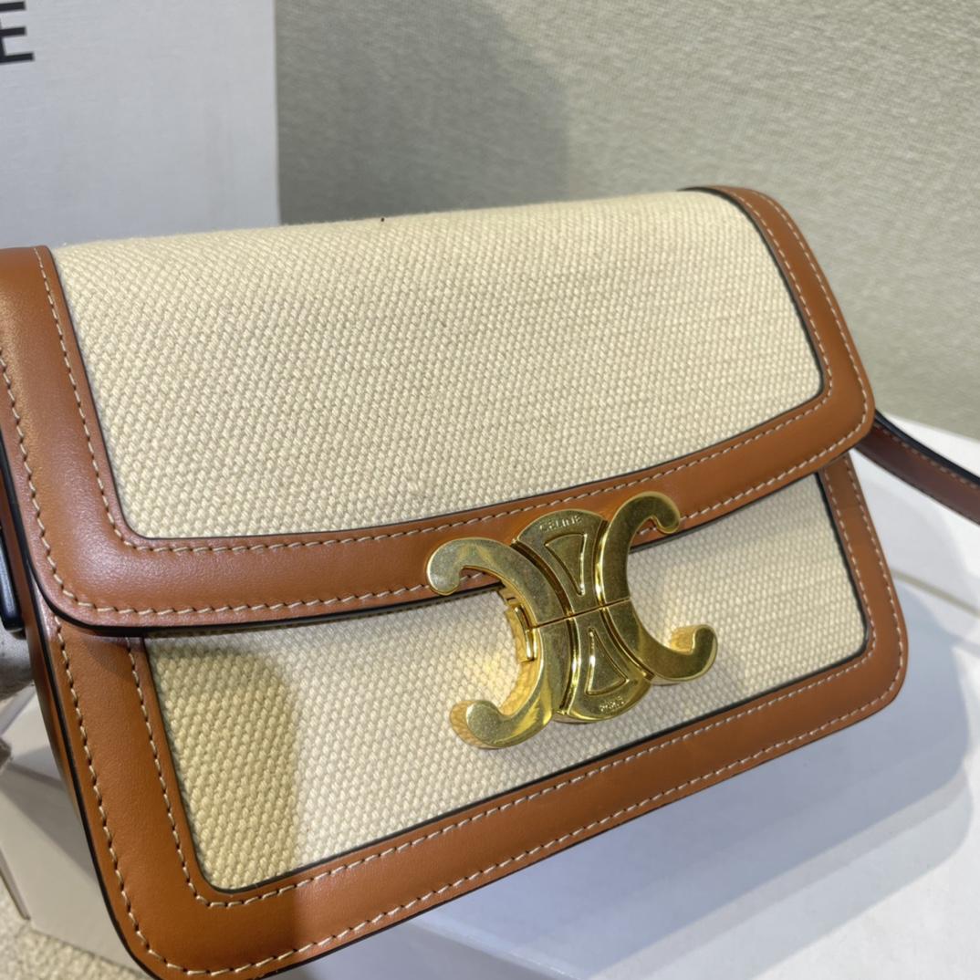 Celine Teen Triomphe Bag In Textile And Calfskin - 