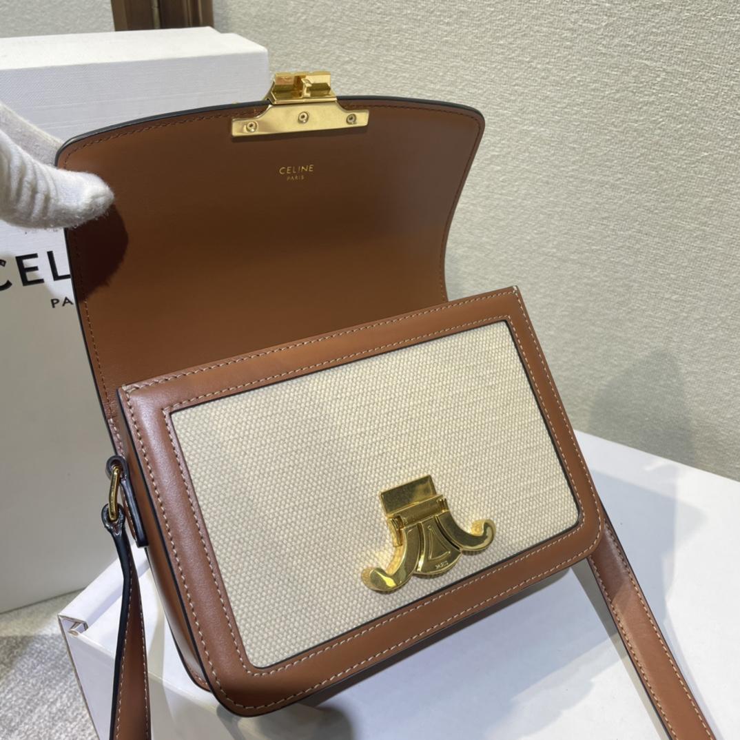 Celine Teen Triomphe Bag In Textile And Calfskin - 