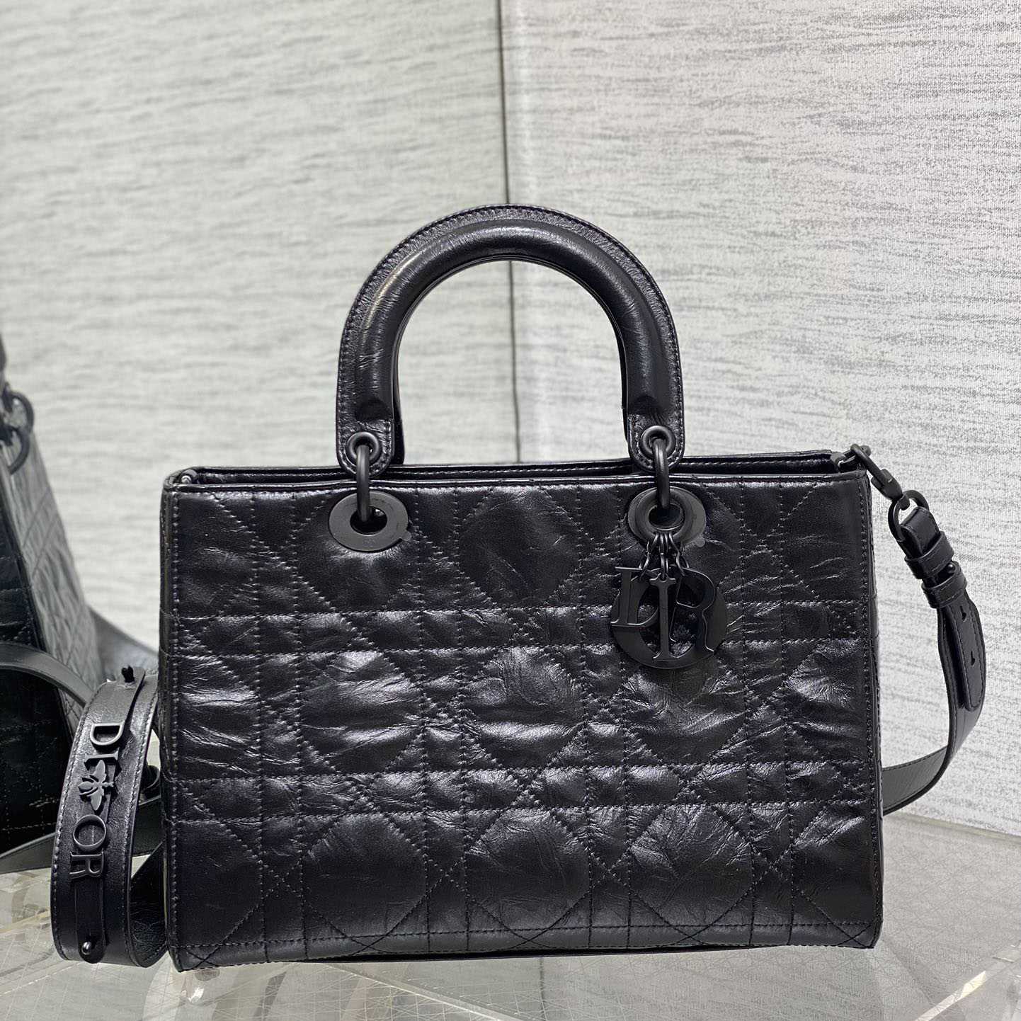 Dior Medium Lady D-Sire My ABCDior Bag  - 