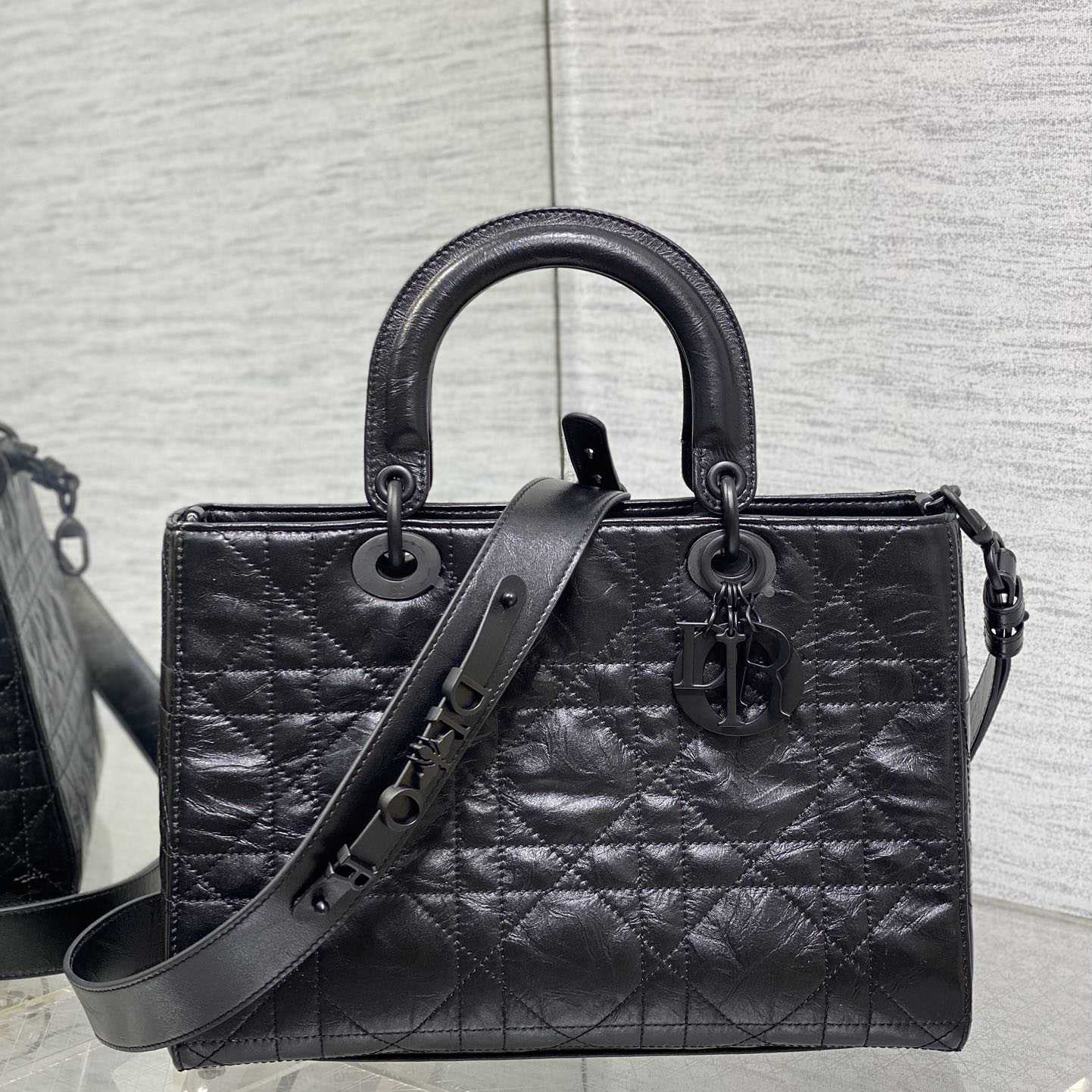 Dior Medium Lady D-Sire My ABCDior Bag  - 
