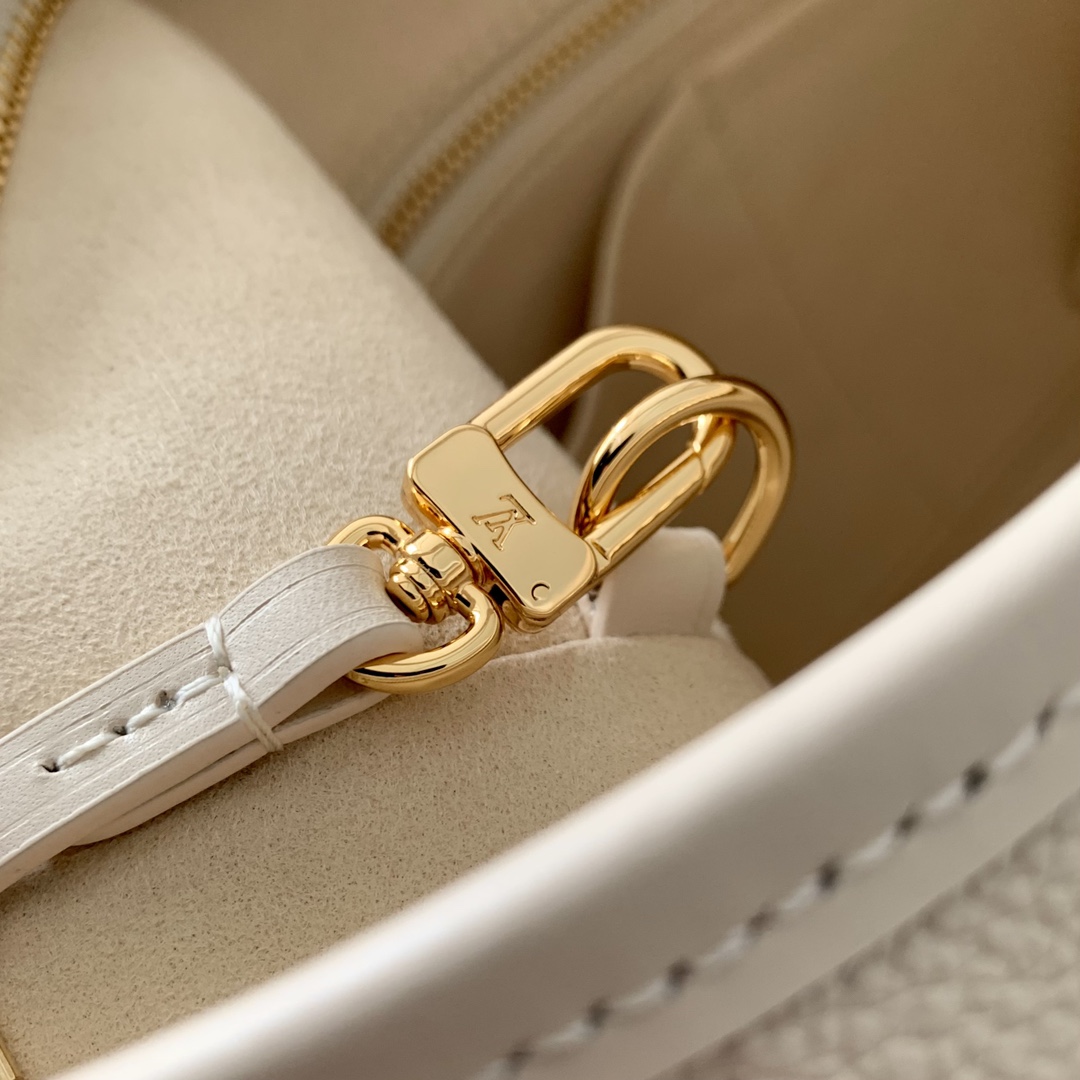 Louis Vuitton CarryAll PM   M24652 - 