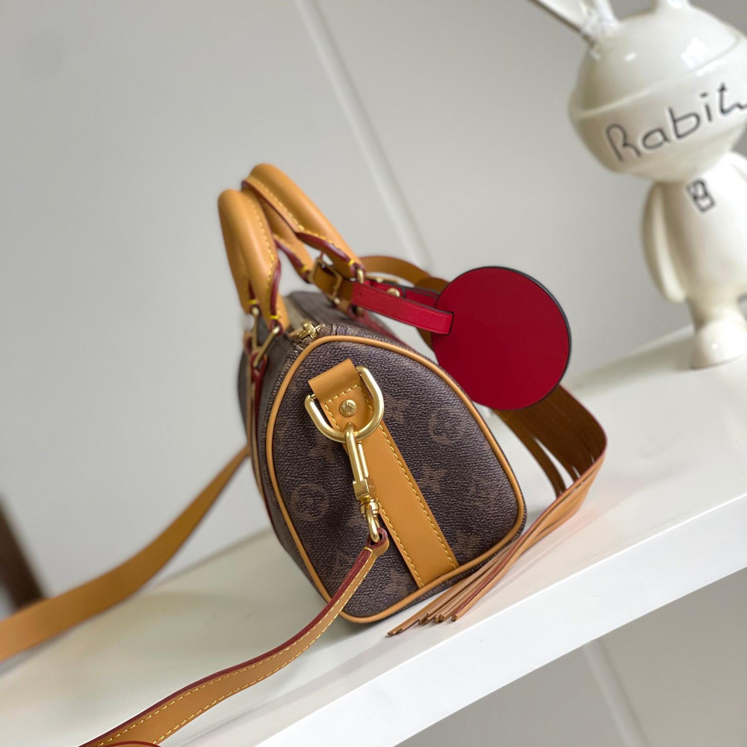 Louis Vuitton Keepall Bandoulière 25  M11542 - 