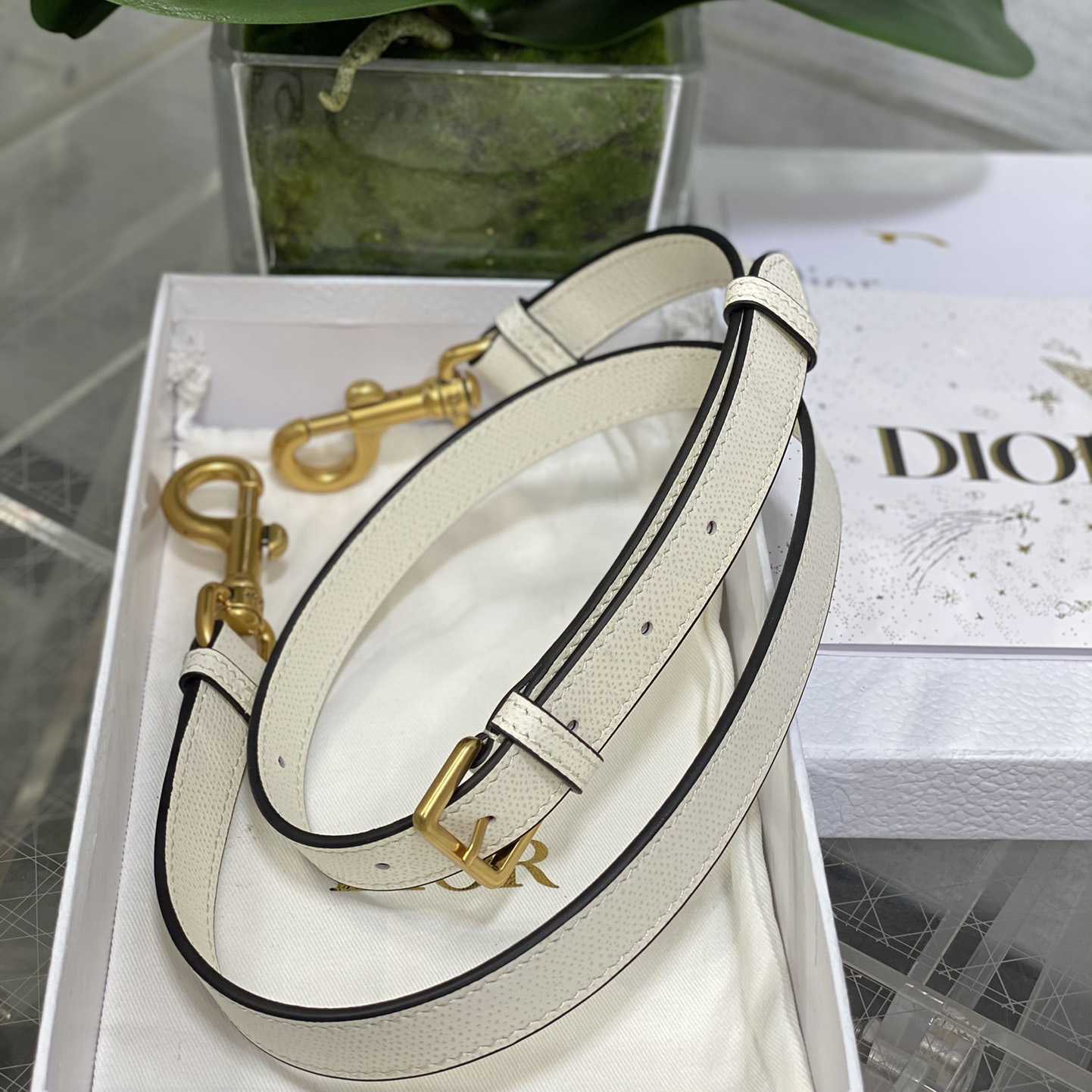 Dior Saddle Bag (24×6×18cm) - 