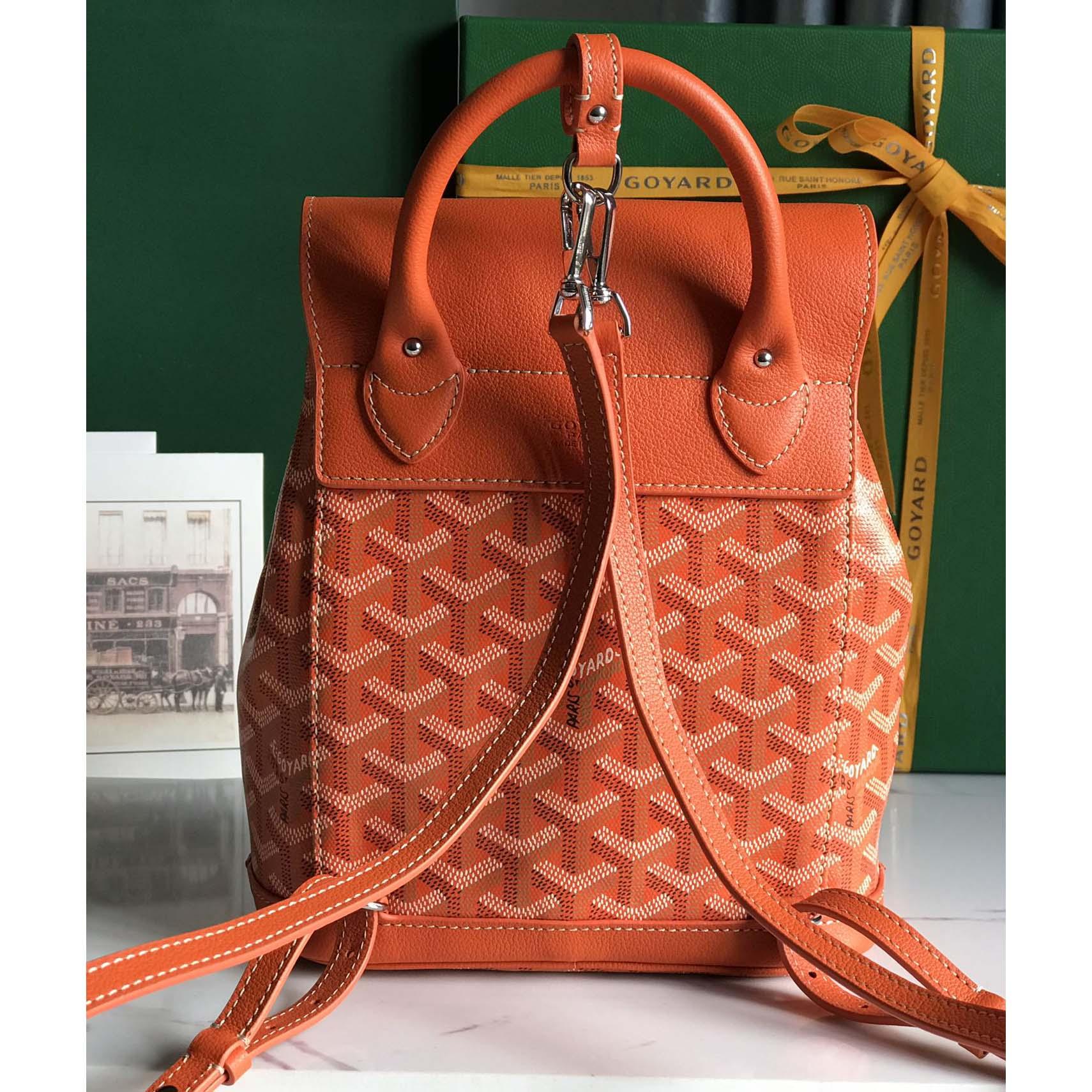 Goyard Alpin Mini Backpack - 