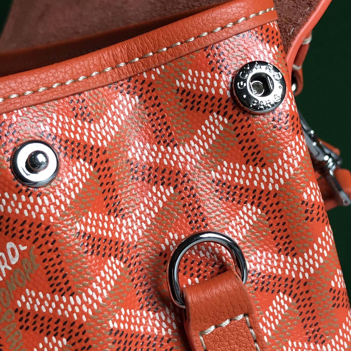 Goyard Alpin Mini Backpack - 