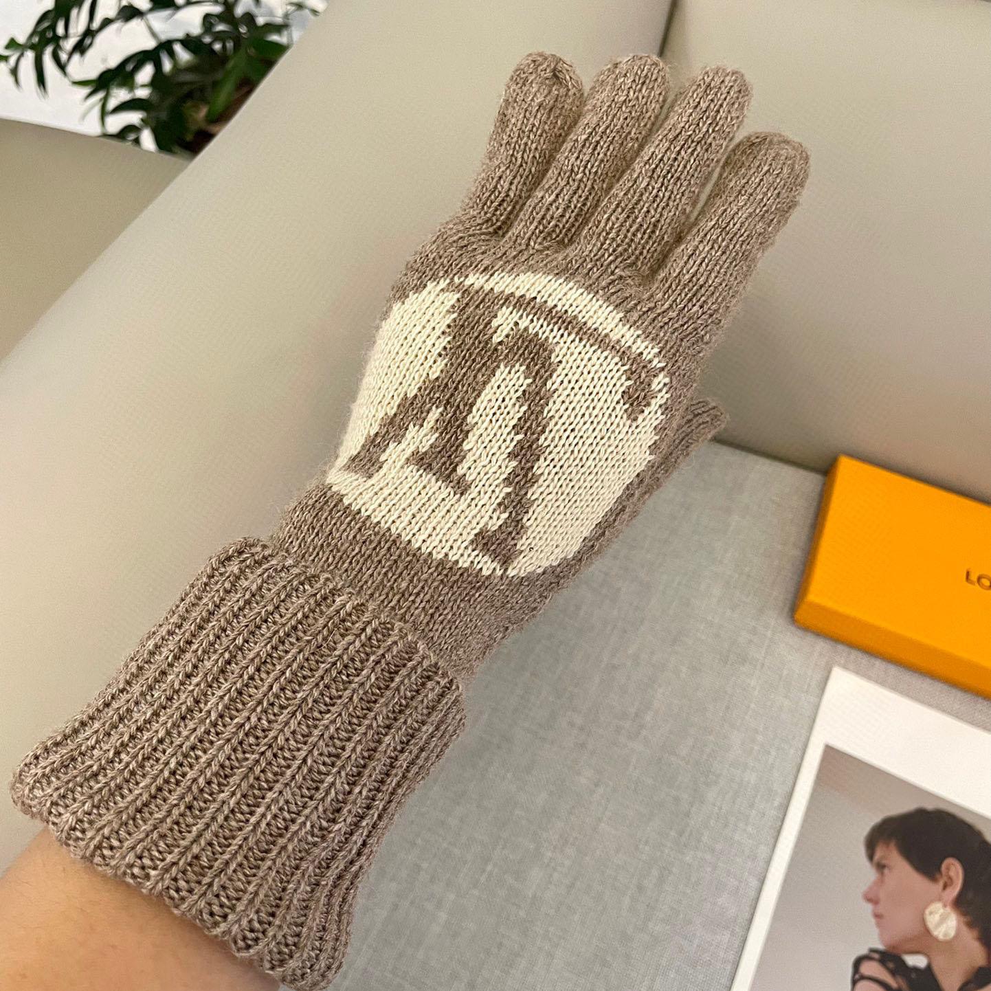 Louis Vuitton LV Medallion Gloves - 
