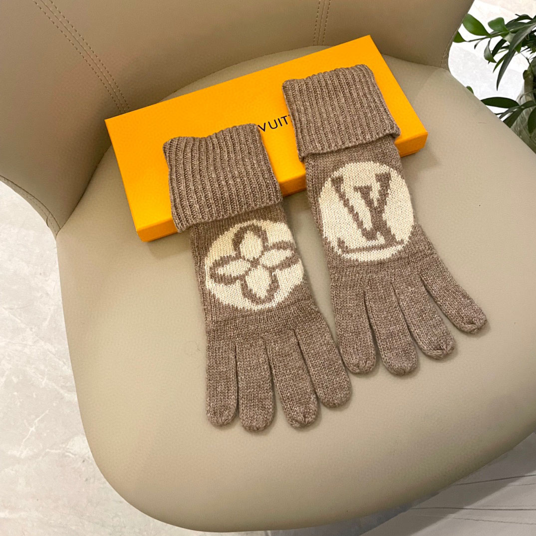 Louis Vuitton LV Medallion Gloves - 