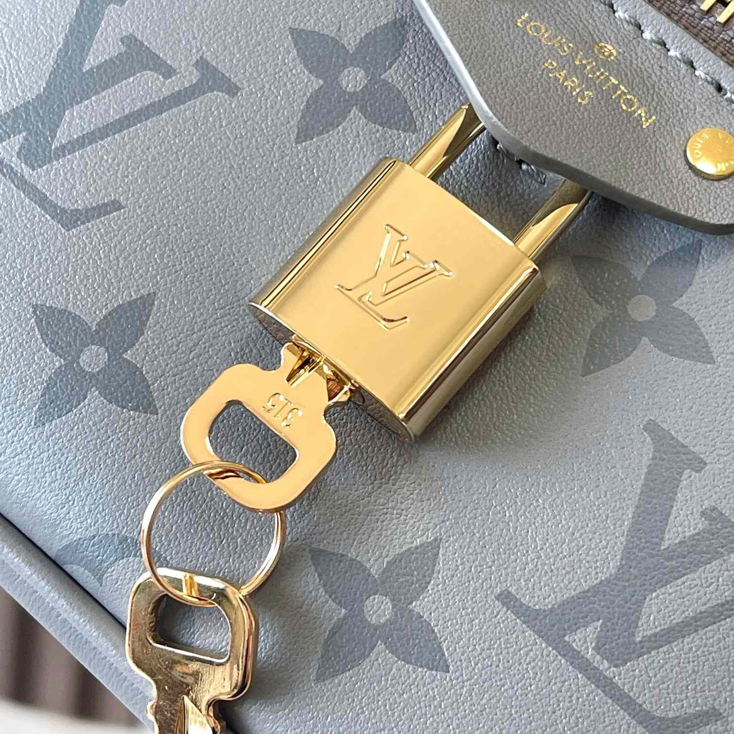 Louis Vuitton Vanity Chain Pouch    M12427 - 
