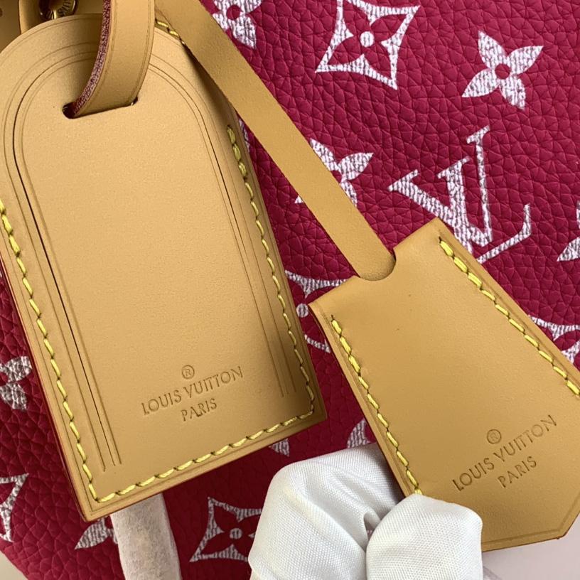 Louis Vuitton Speedy P9 Bandoulière 25   (25 x 15 x15cm) - 