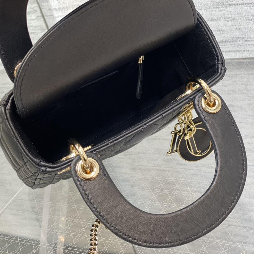 Dior Lady Dior Bag   17cm - 