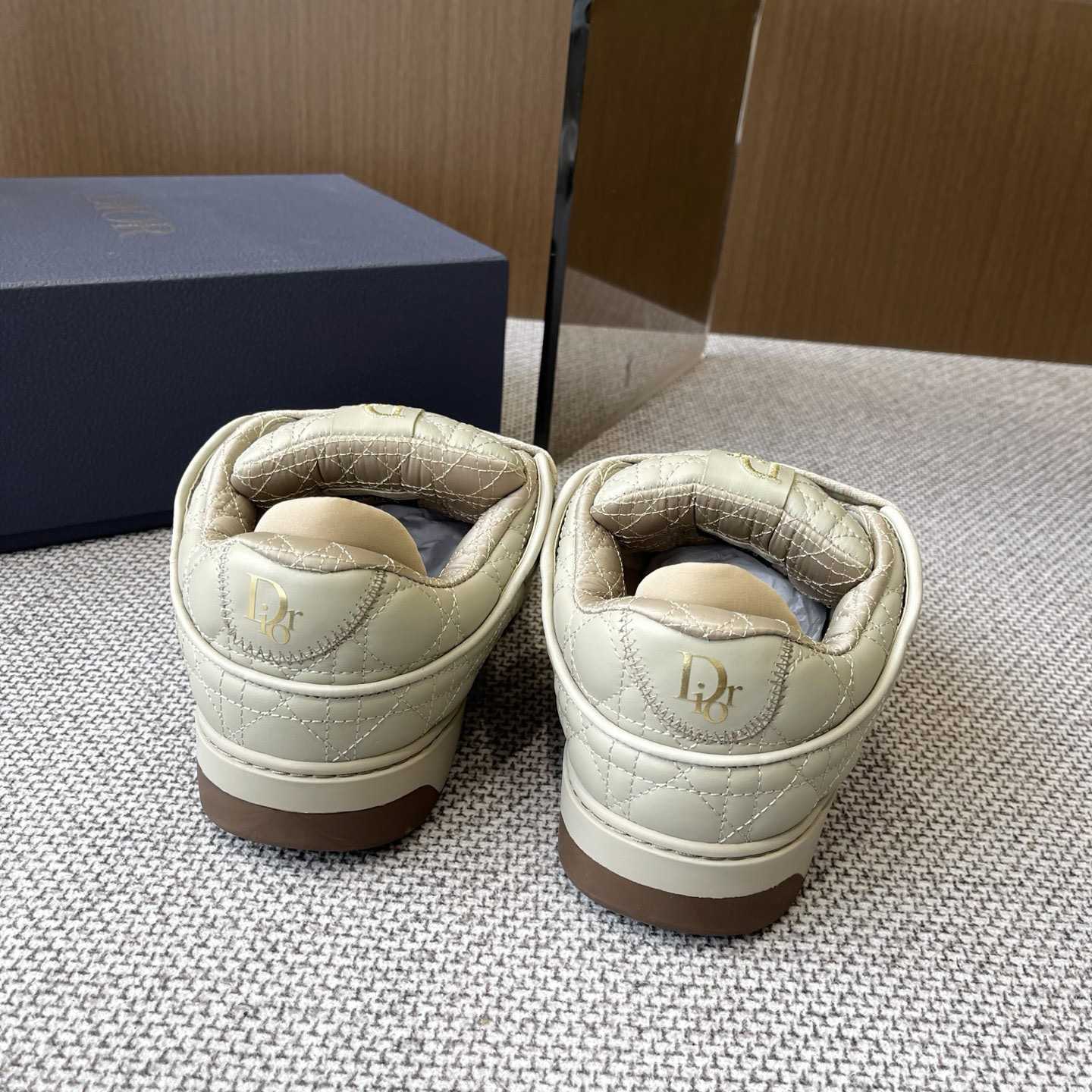 Dior B9S Skater Sneakers - DesignerGu