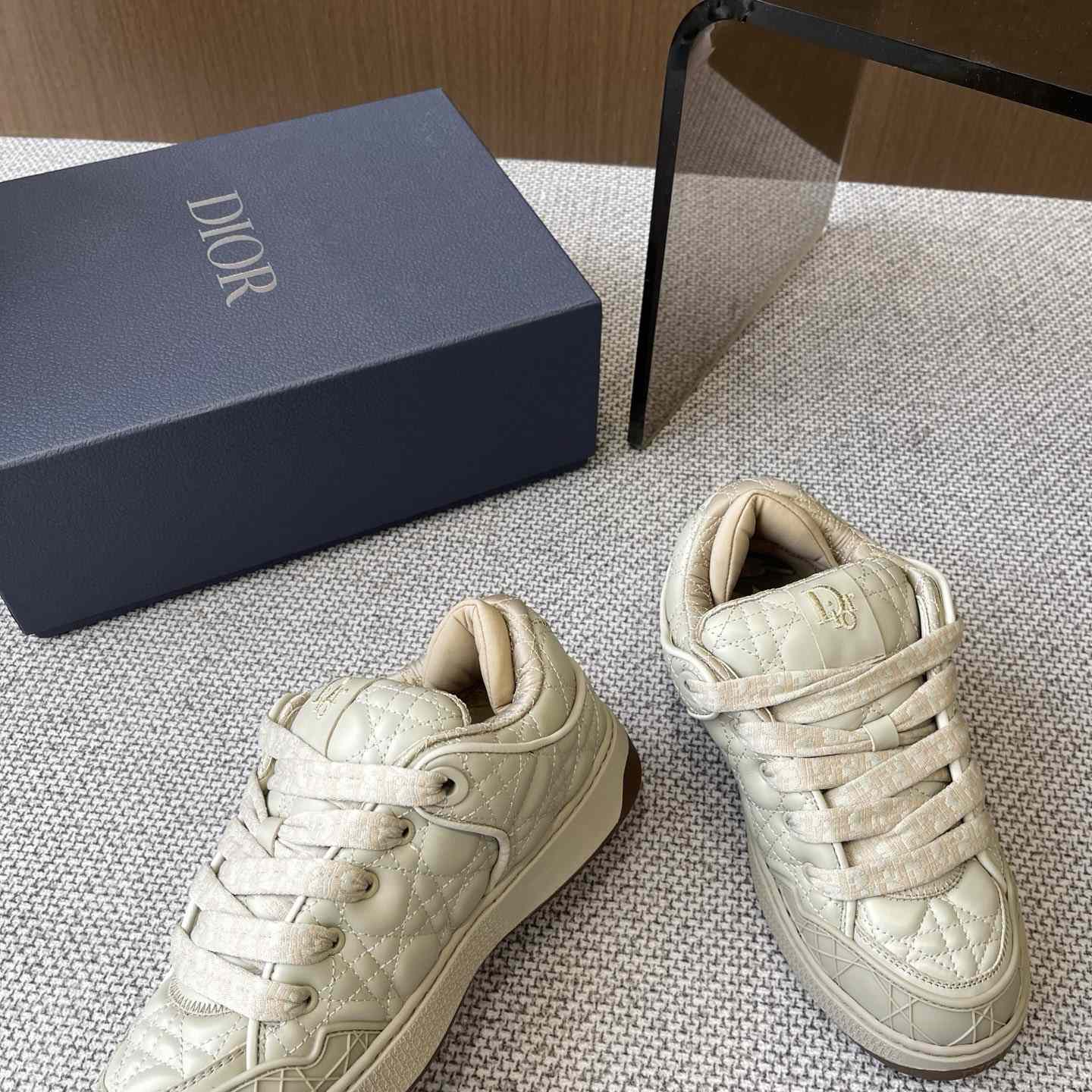 Dior B9S Skater Sneakers - DesignerGu