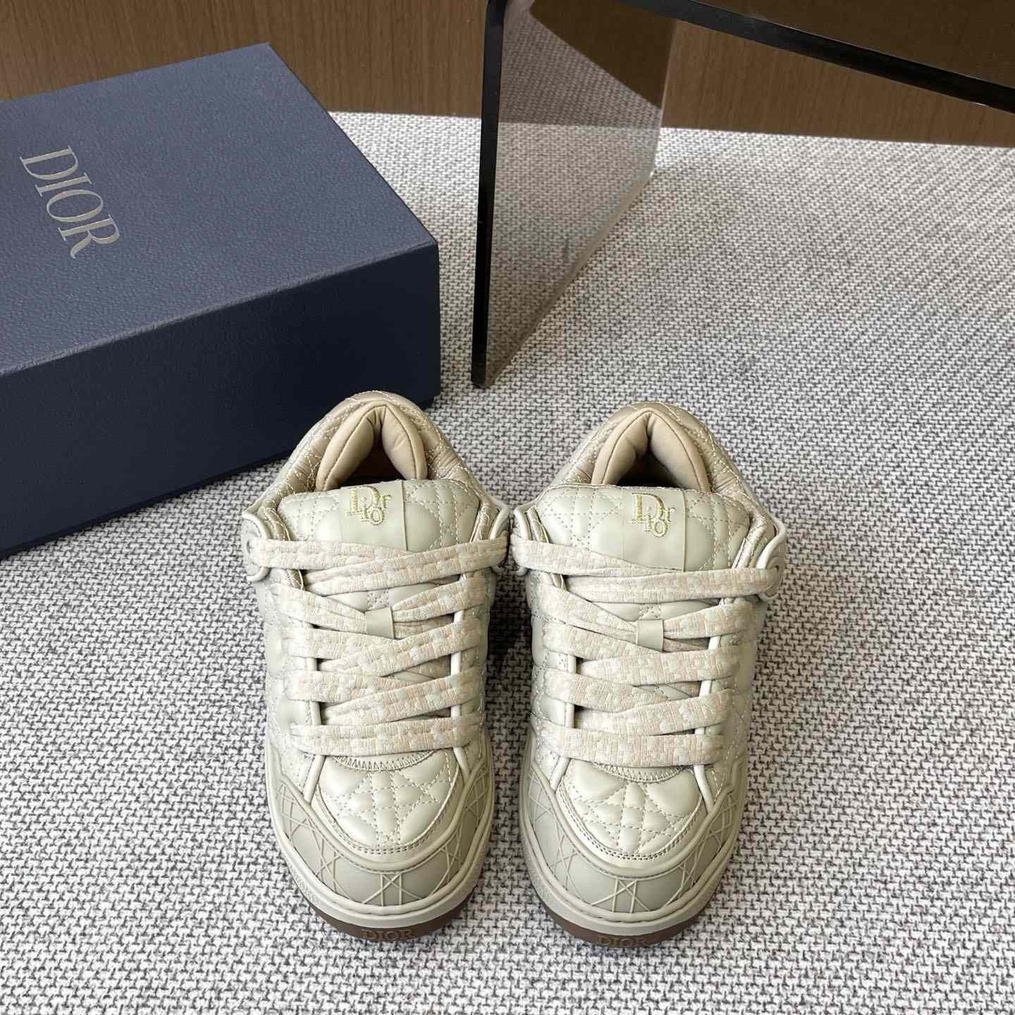 Dior B9S Skater Sneakers - DesignerGu