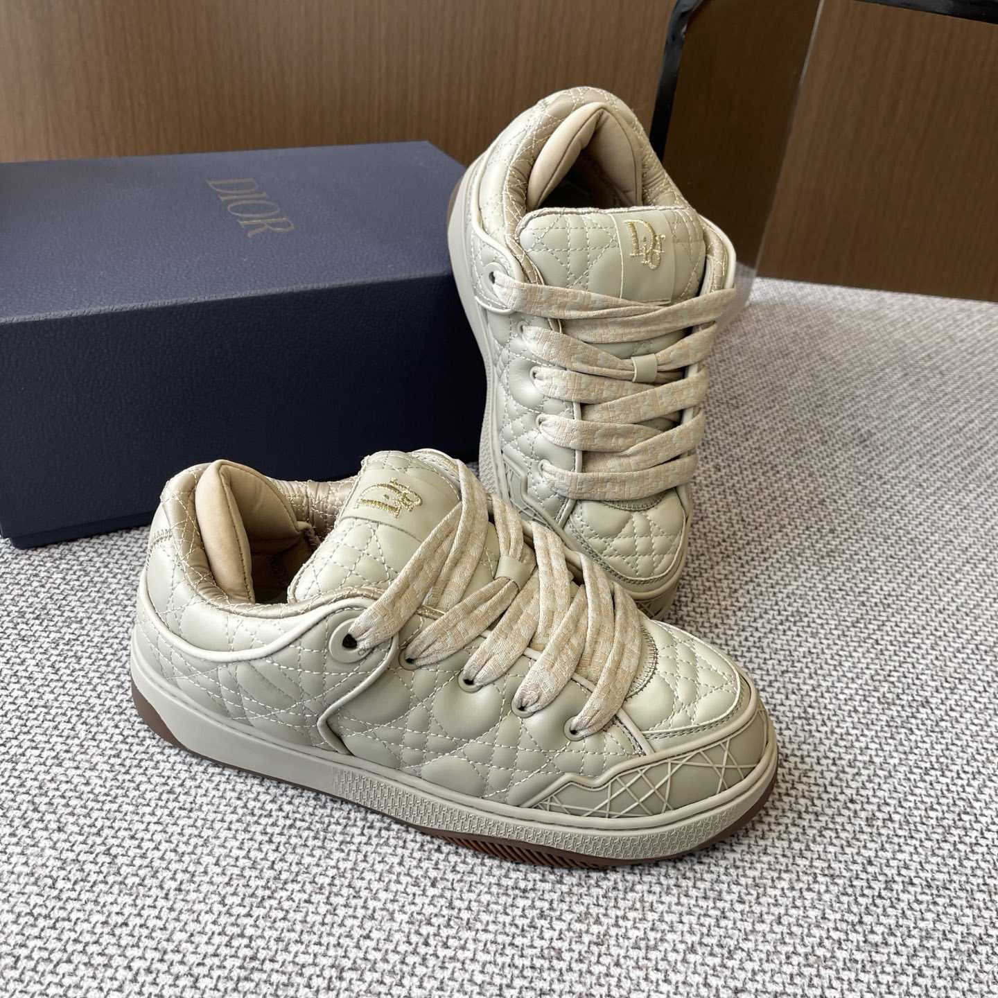 Dior B9S Skater Sneakers - DesignerGu