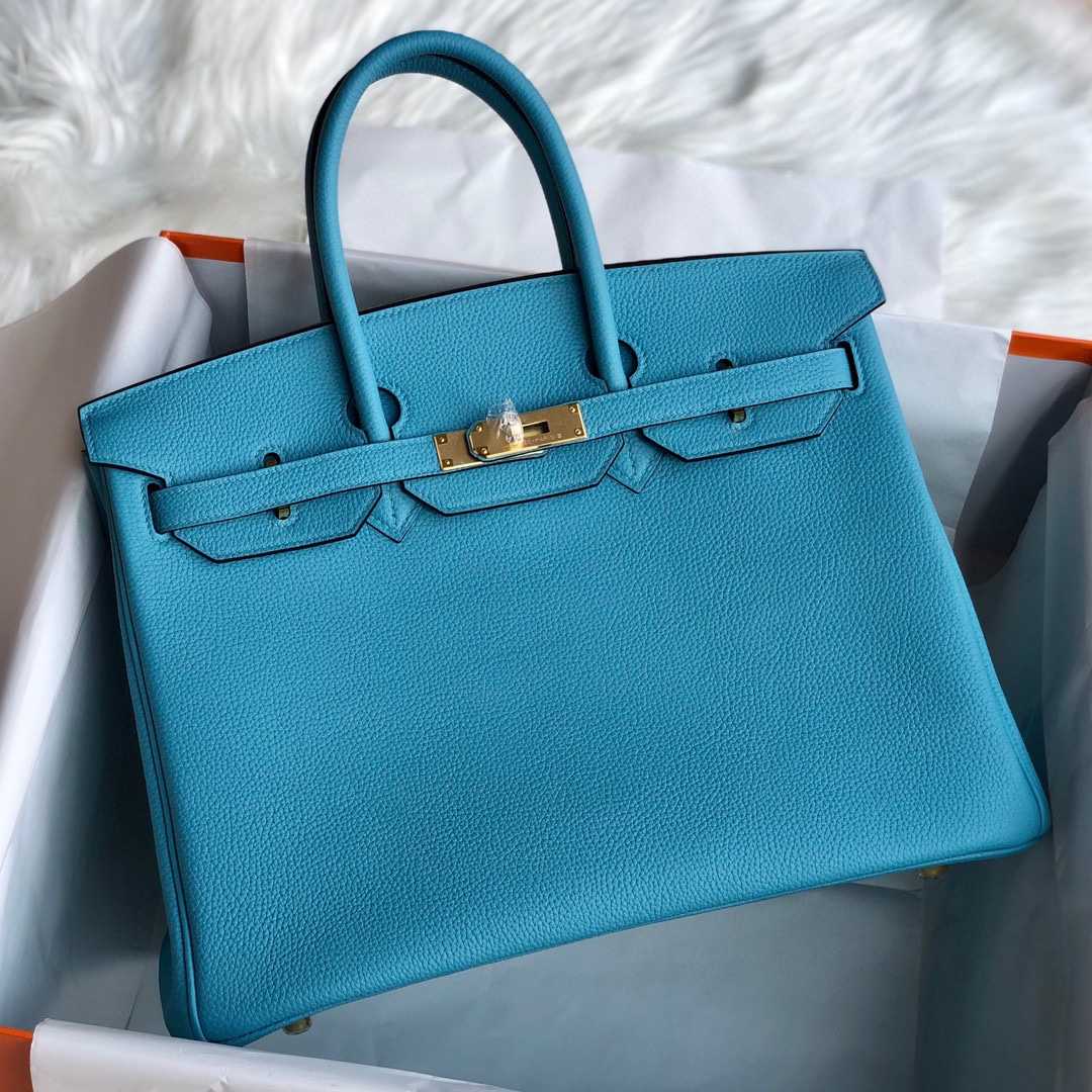 Hermès Blue Mallard Togo 25 cm Birkin Bag - DesignerGu