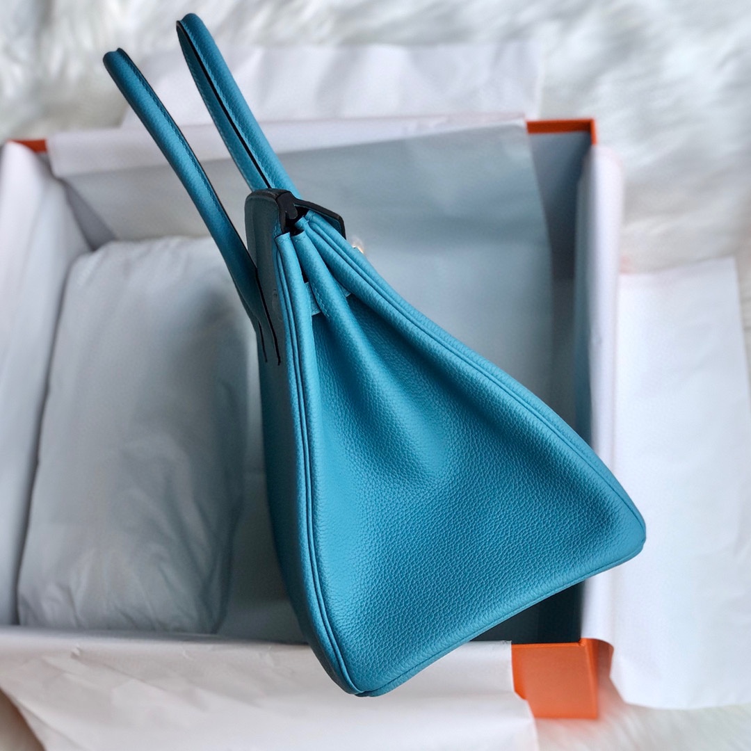 Hermès Blue Mallard Togo 25 cm Birkin Bag - DesignerGu