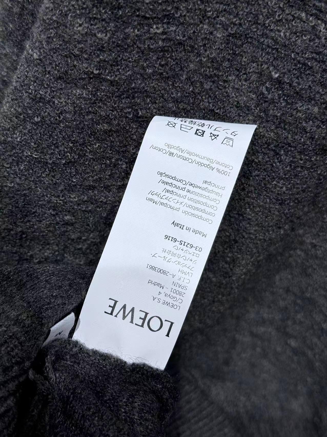 Loewe Hoodie In Wool - DesignerGu