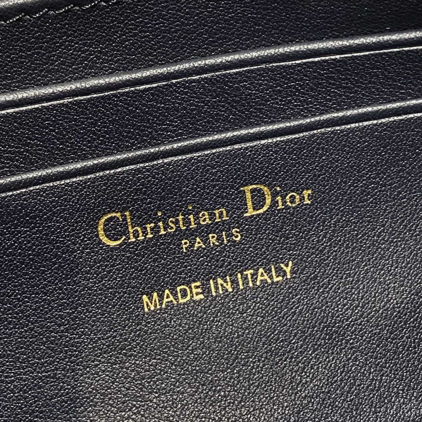 Dior 30 Montaigne Wanderlust Mini Bag    - DesignerGu