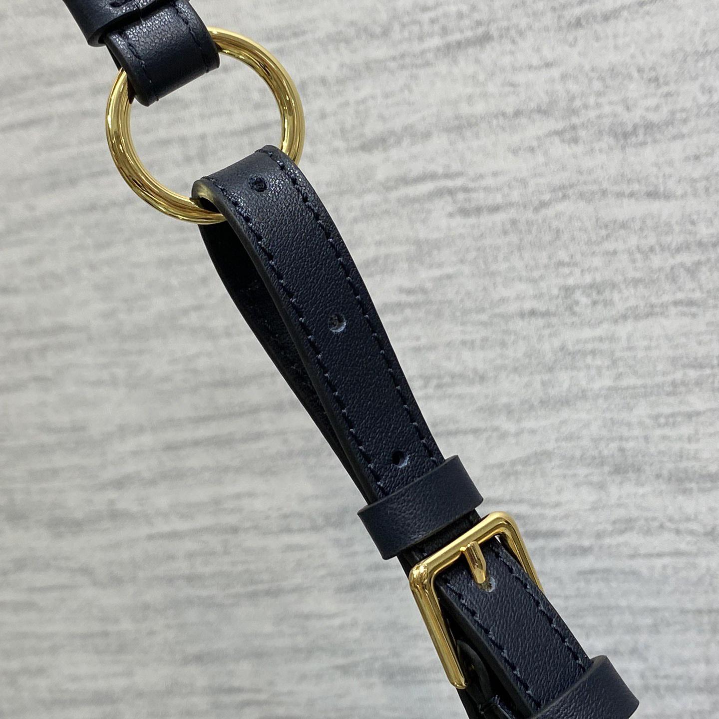 Dior 30 Montaigne Wanderlust Mini Bag    - DesignerGu