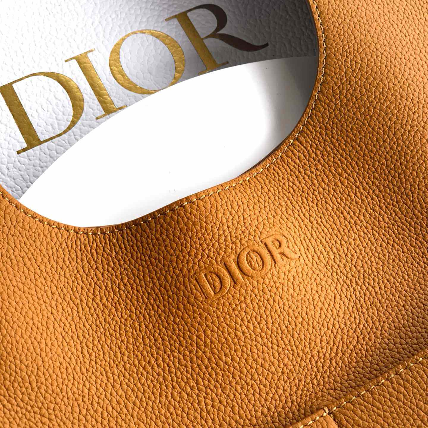 Dior Privé Tote Bag  - DesignerGu