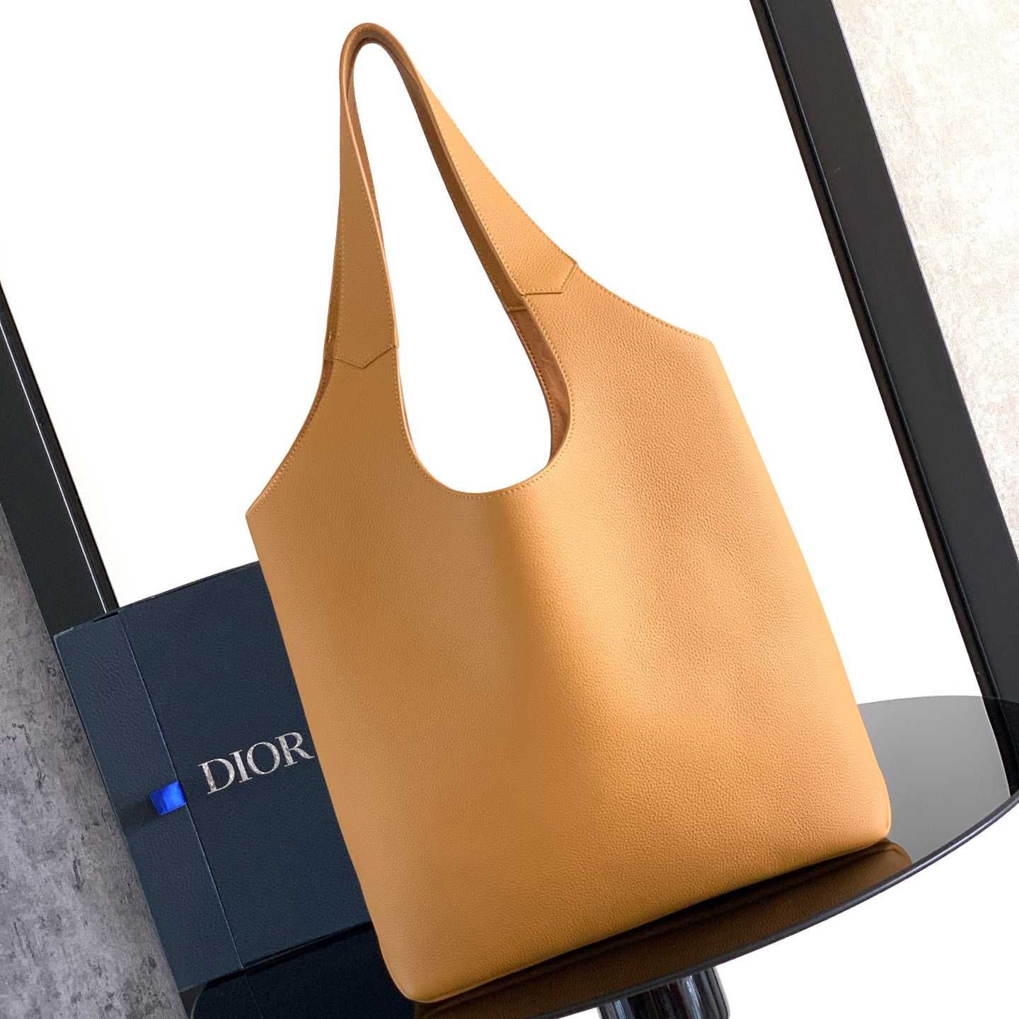 Dior Privé Tote Bag  - DesignerGu