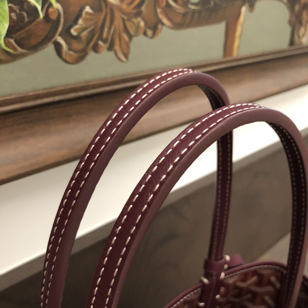 Goyard Anjou Mini Bag  - DesignerGu