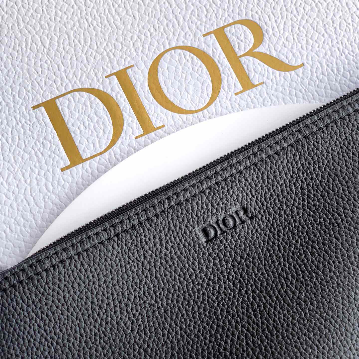 Dior Privé Tote Bag  - DesignerGu