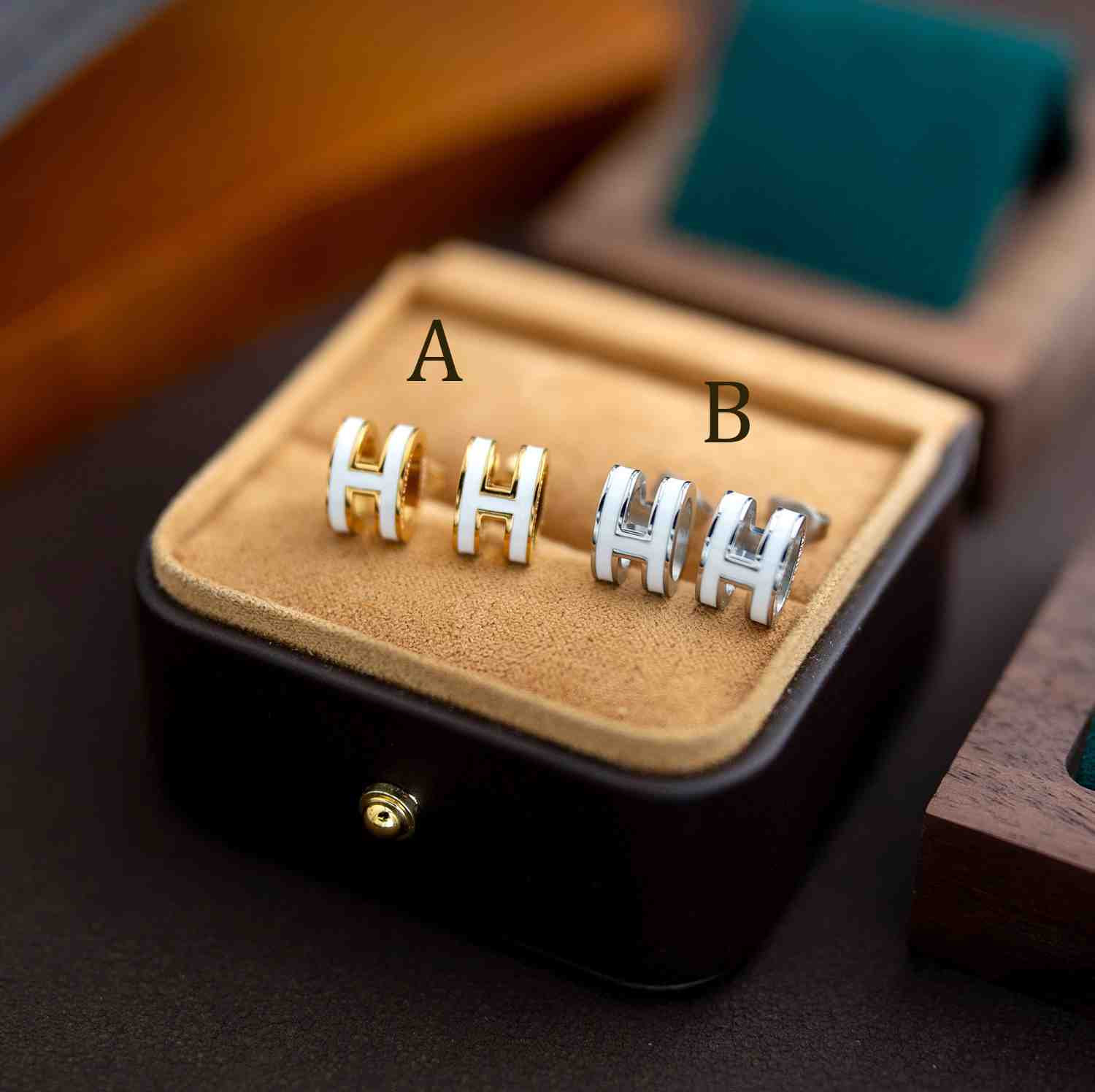 Hermes Earrings - DesignerGu