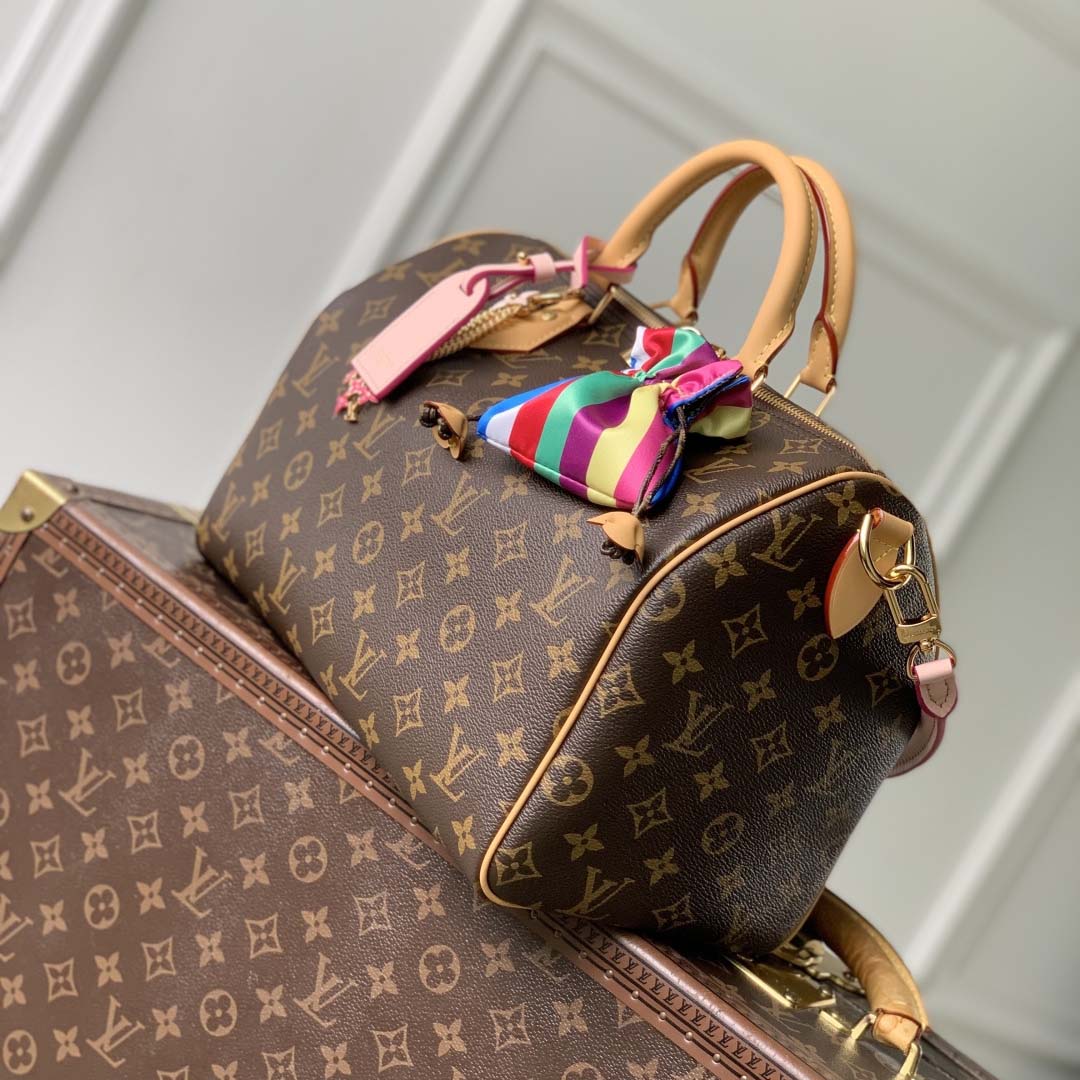 Louis Vuitton Speedy Soft 30   M26498 - DesignerGu