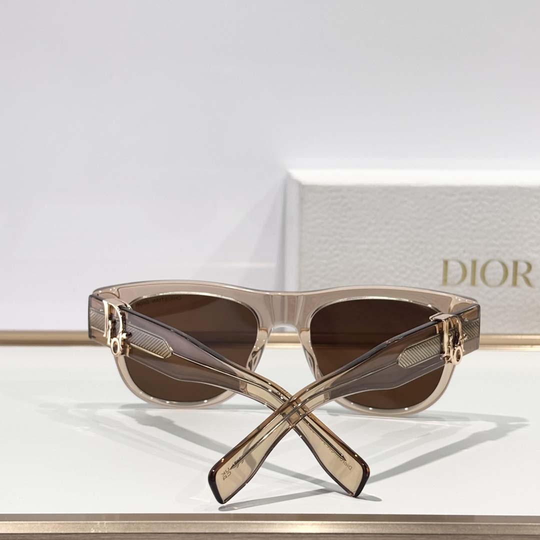 Dior  Oblique S4I - DesignerGu