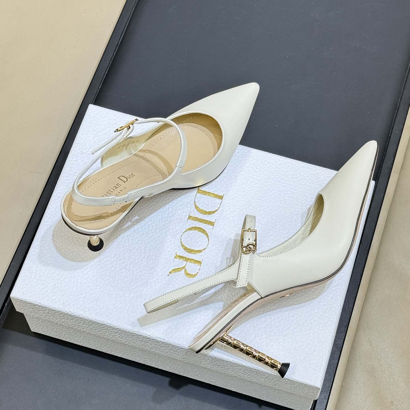 Dior Icon Slingback Pump  - DesignerGu