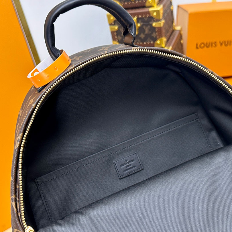 Louis Vuitton Palm Springs MM Palm Springs MM - DesignerGu