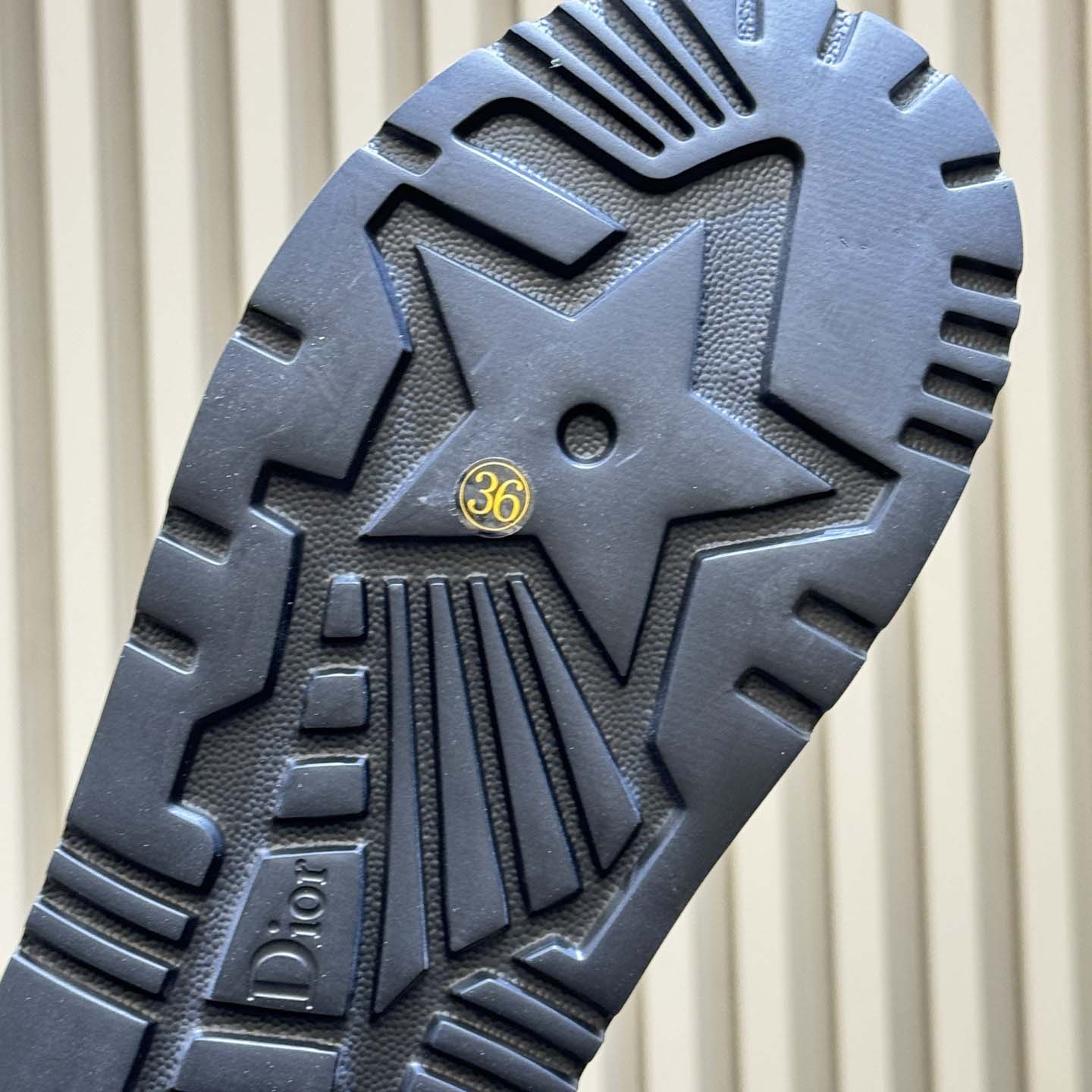 Dior D-Lane Platform Slide - DesignerGu