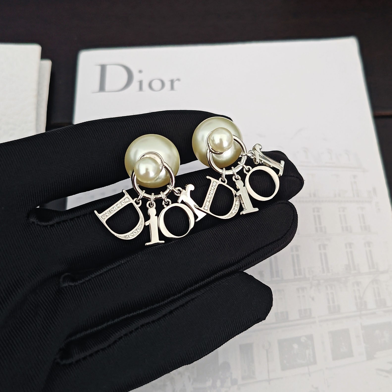 Dior Tribales Earrings - DesignerGu