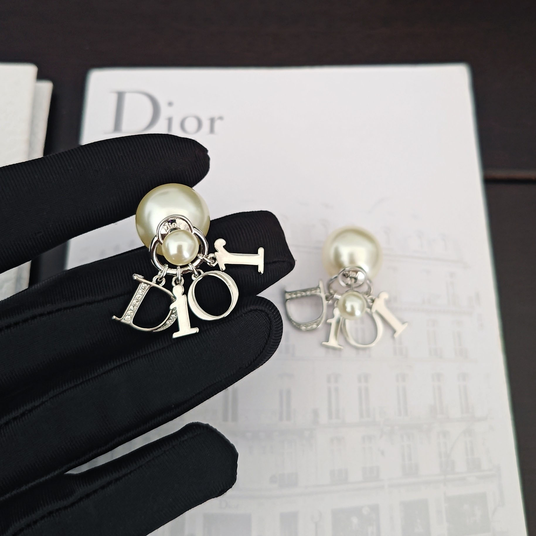 Dior Tribales Earrings - DesignerGu