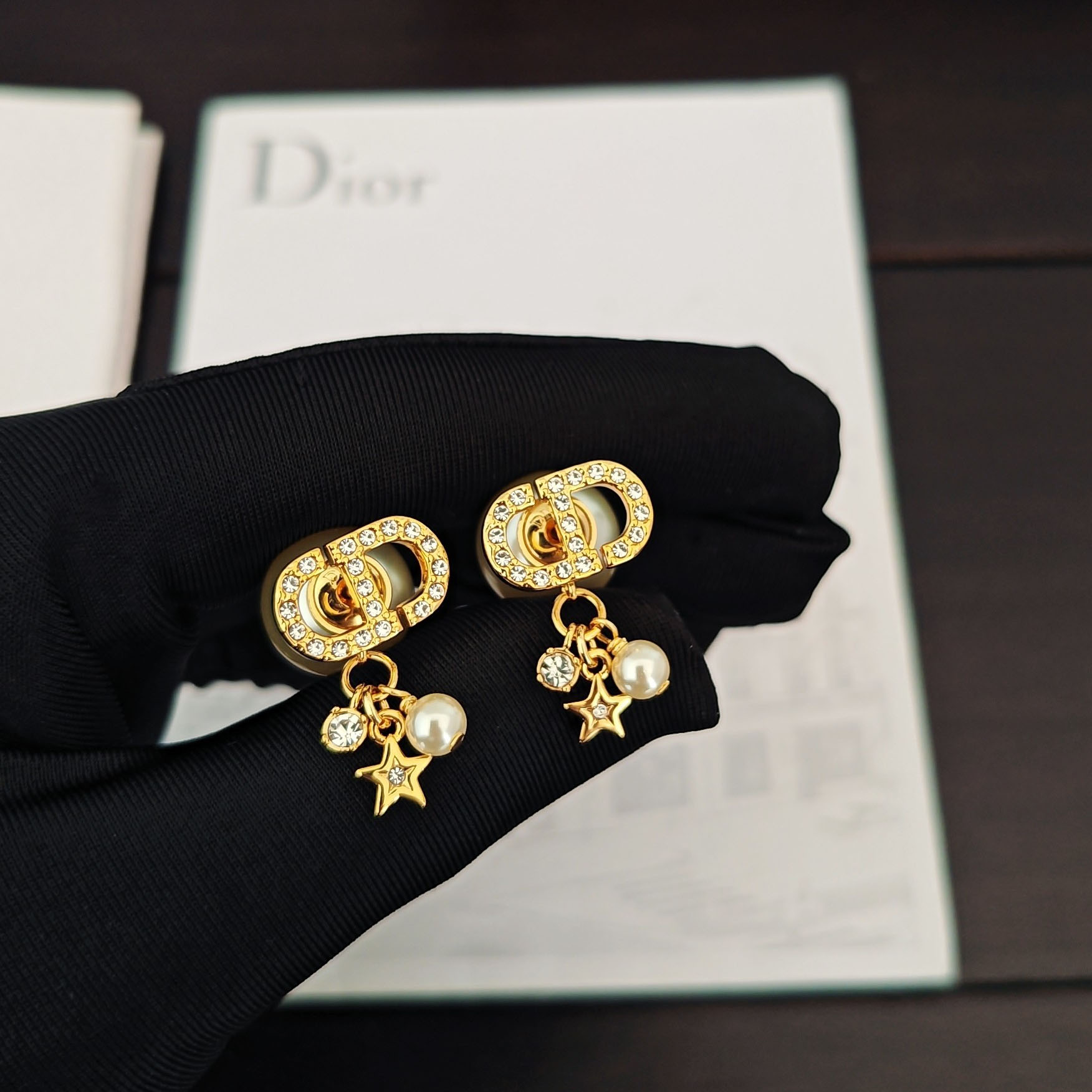 Dior Earrings - DesignerGu