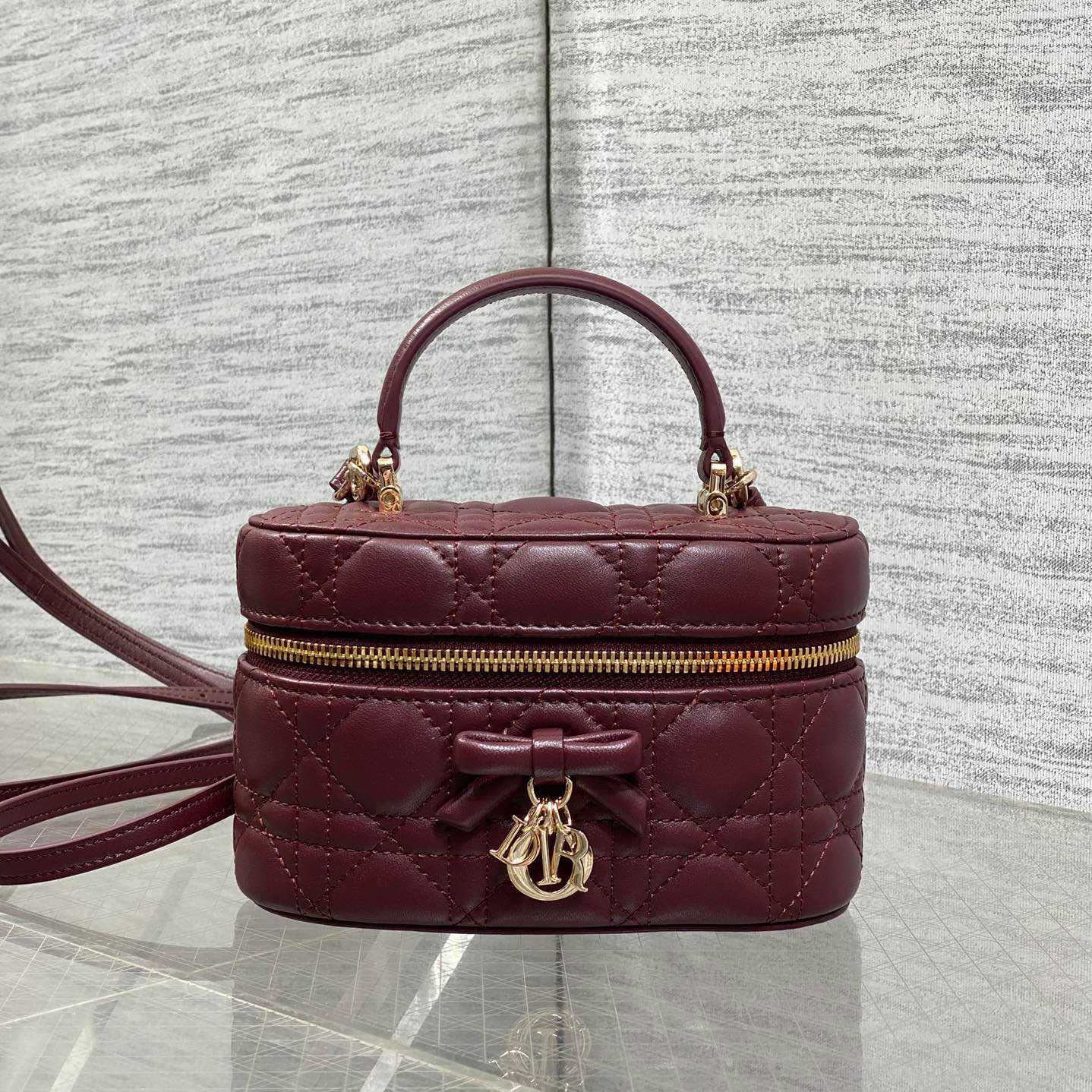 Dior Mini Vanity Bag - DesignerGu
