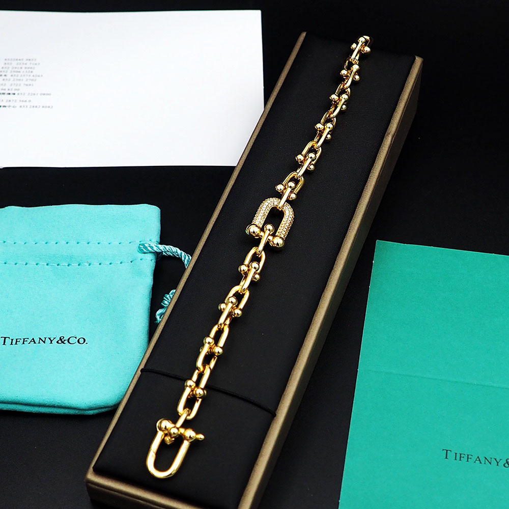 Tiffany Medium Link Bracelet  - DesignerGu