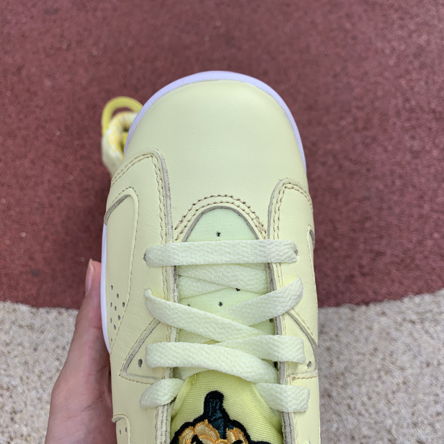 Jordan AJ6 GS "Floral" - 