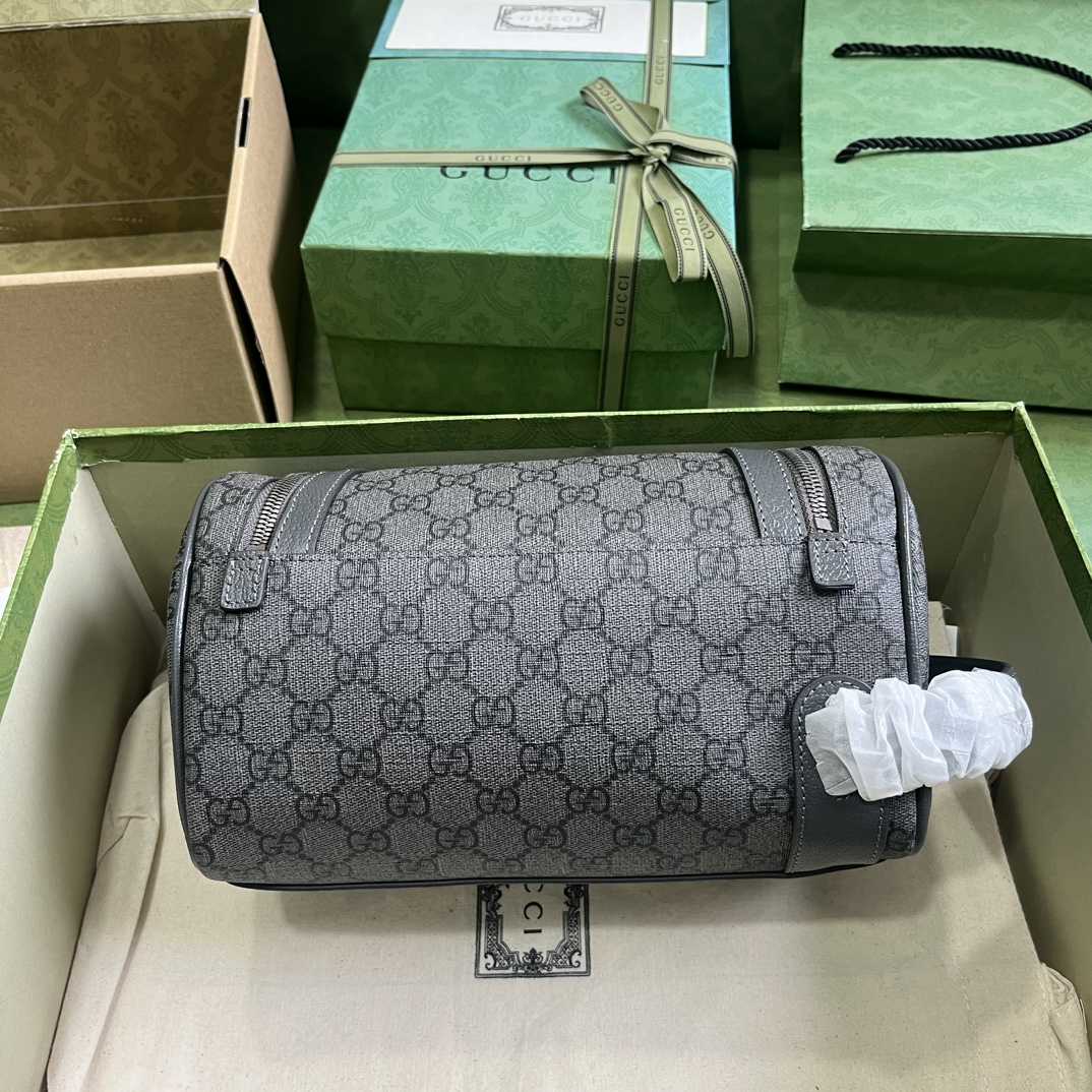 Gucci Ophidia Toiletry Case  (24-13-28cm) - DesignerGu