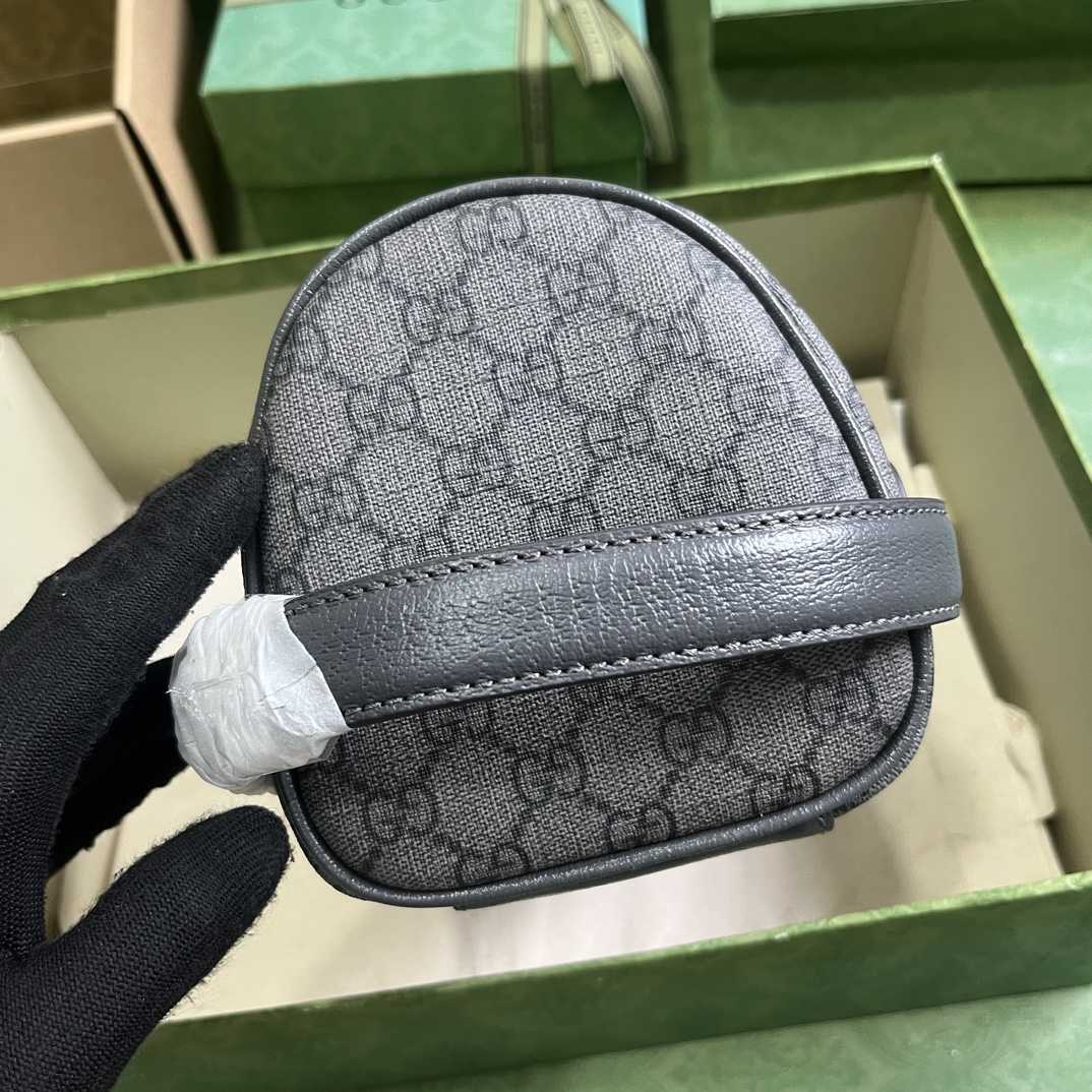 Gucci Ophidia Toiletry Case  (24-13-28cm) - DesignerGu