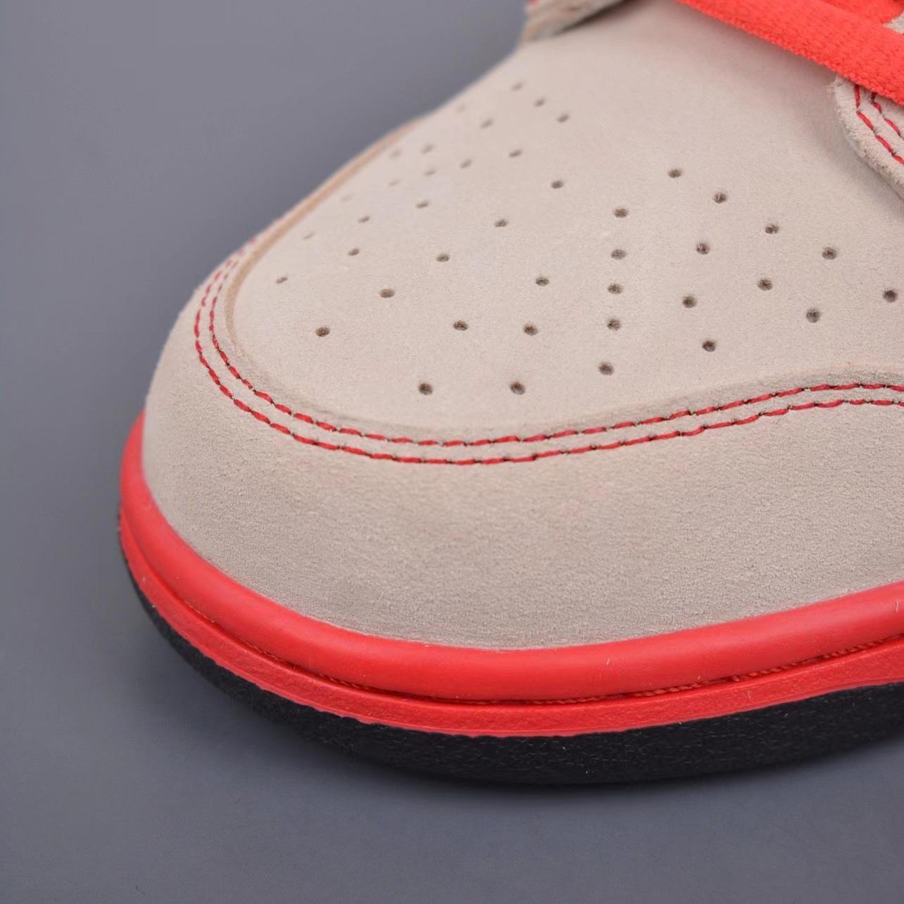 Nike SB ZOOM Dunk Low Sneakers     304292 771698 - 