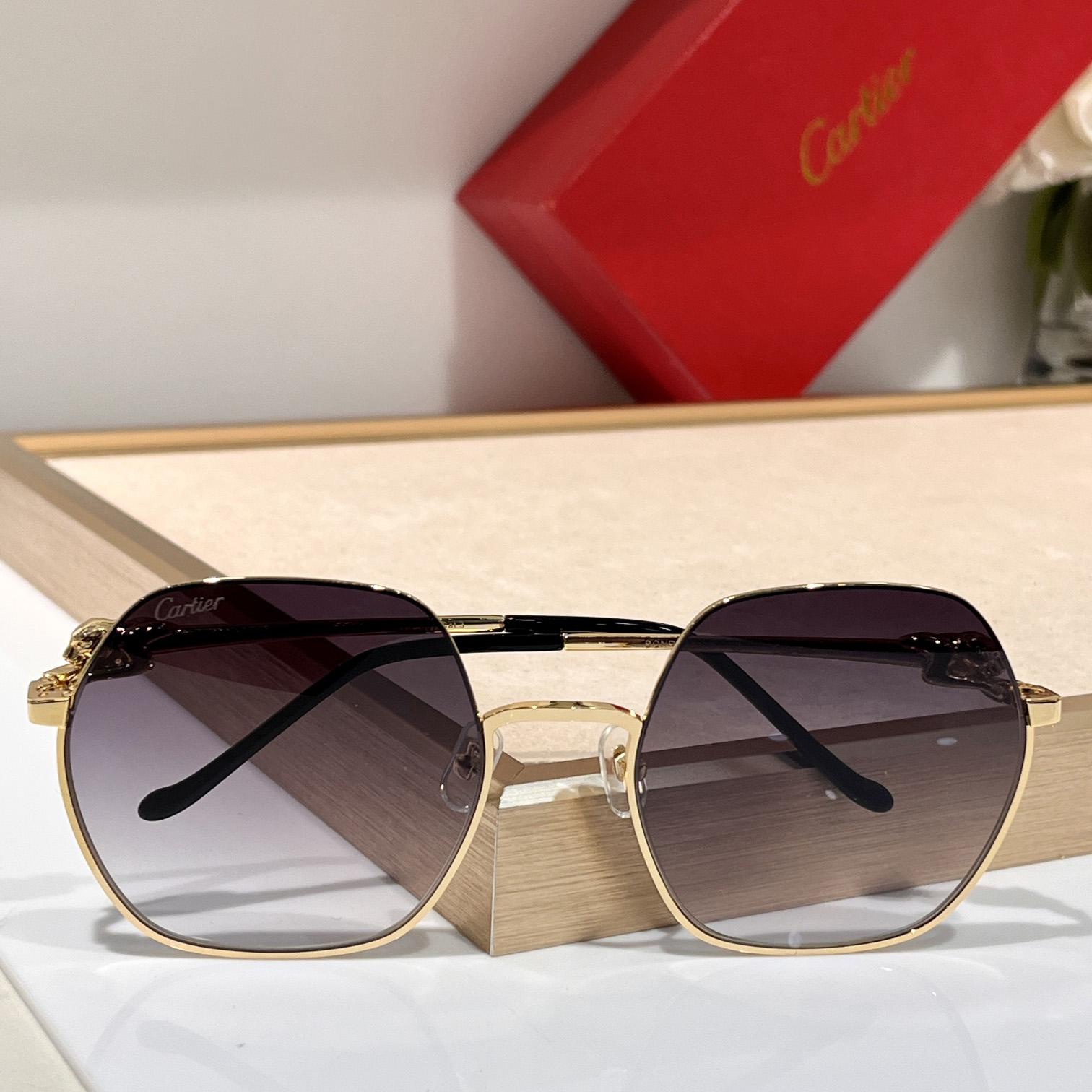 Cartier Geometric Frame Sunglasses     CT0267 - 