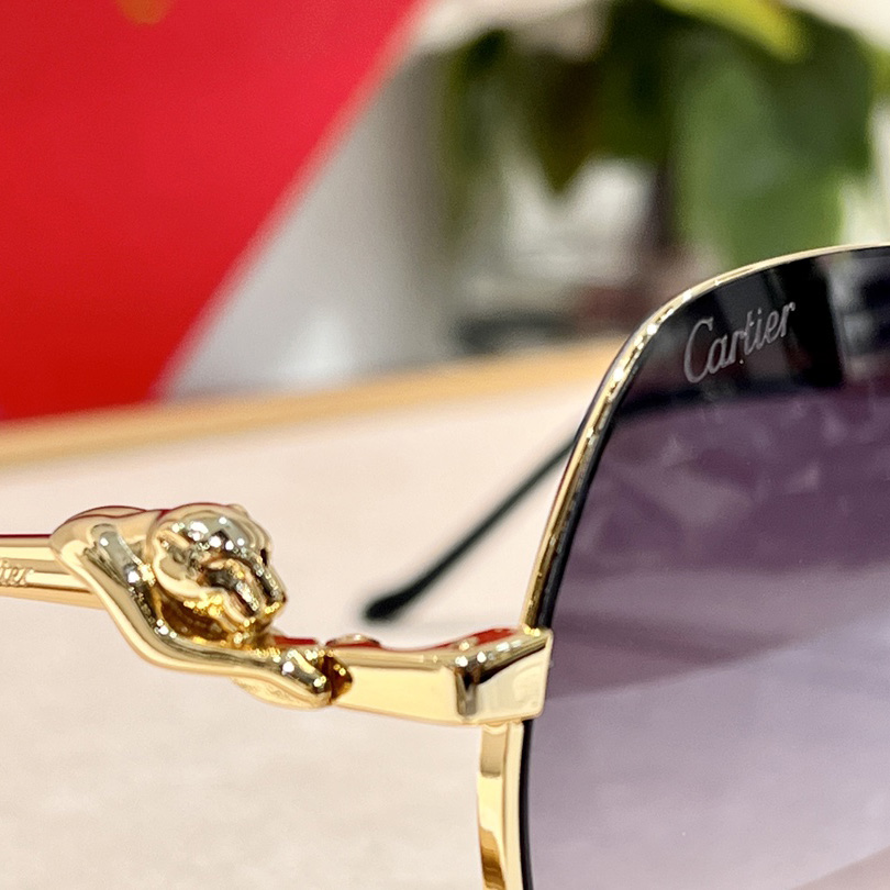 Cartier Geometric Frame Sunglasses     CT0267 - 