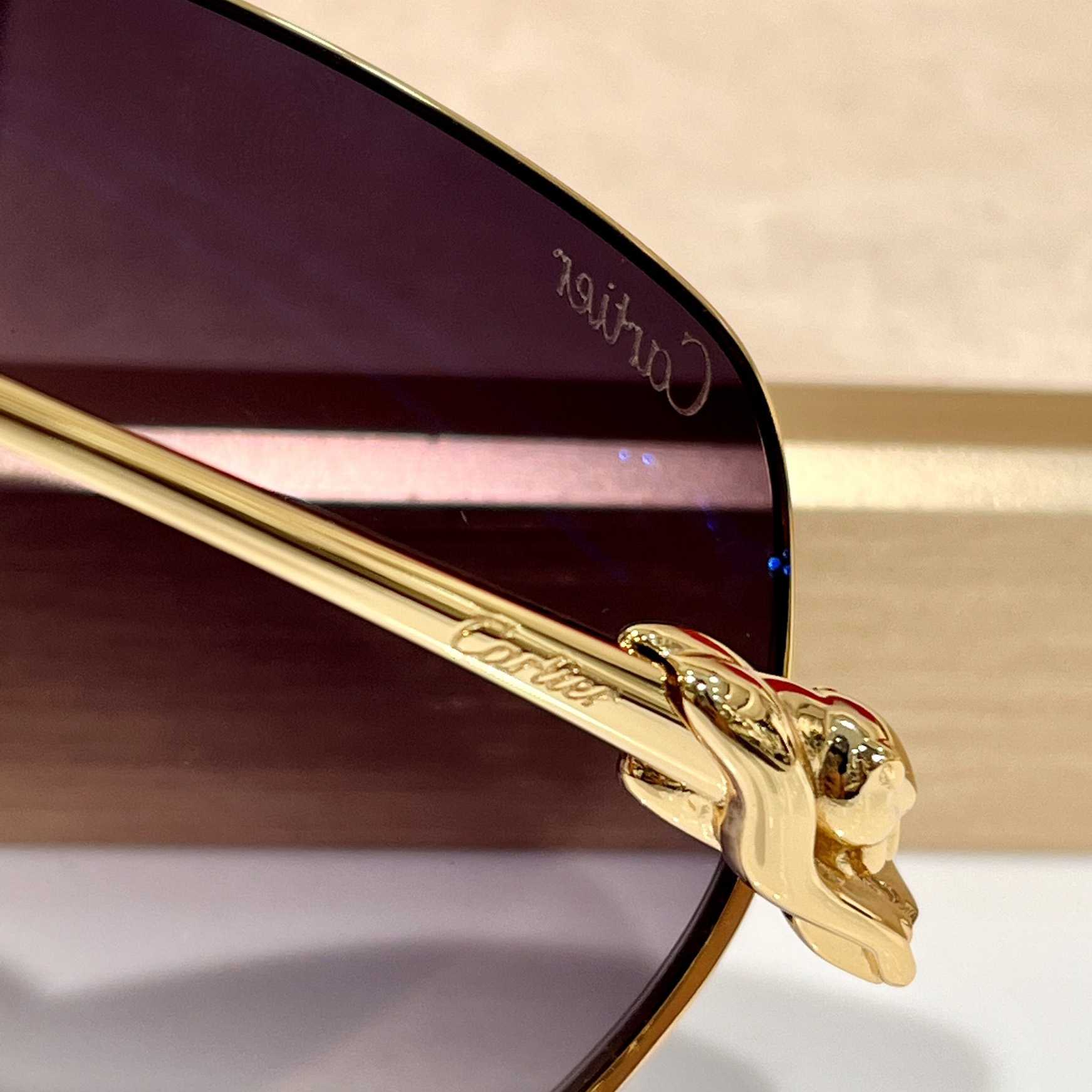 Cartier Geometric Frame Sunglasses     CT0267 - 