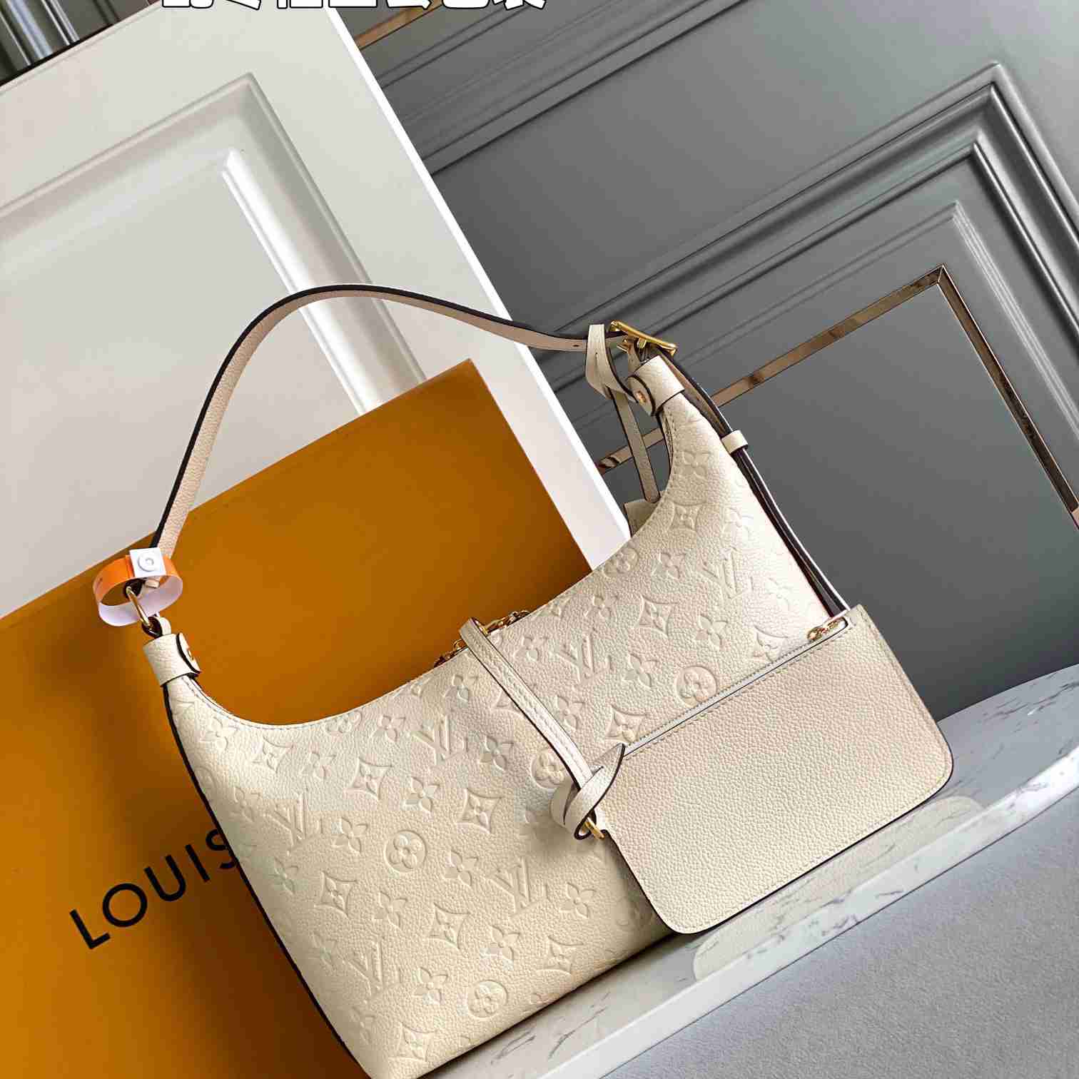 Louis Vuitton Sac Sport   M46609 - 